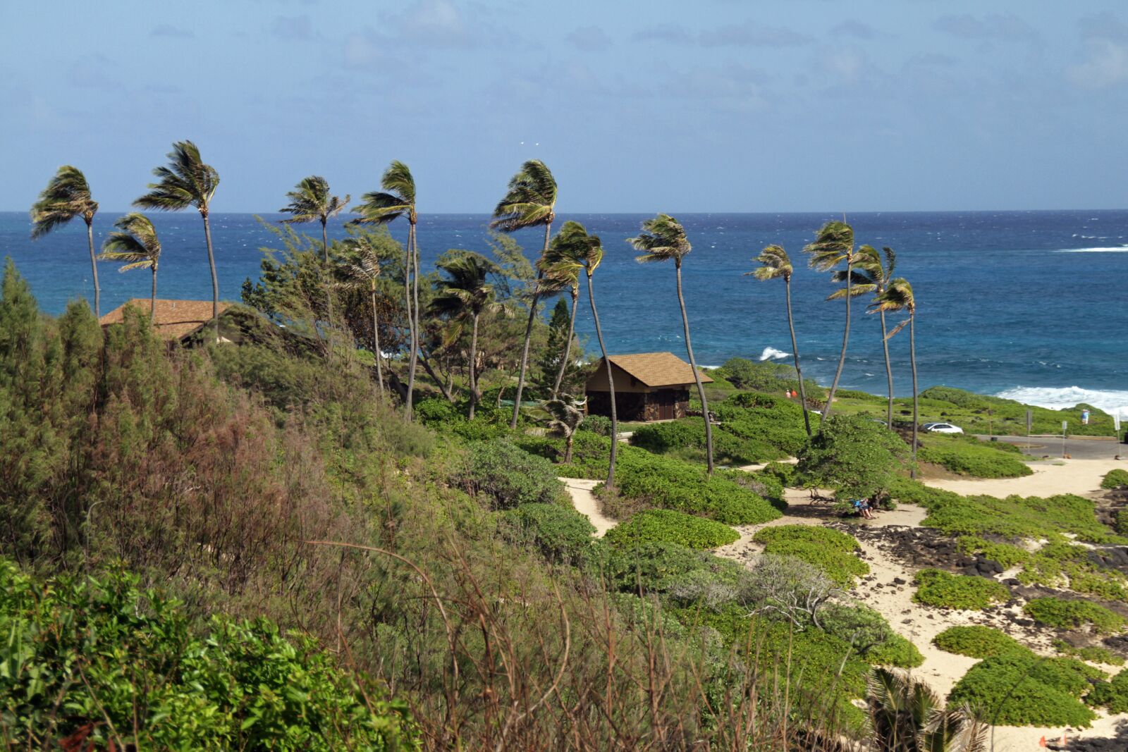 Canon EOS 7D sample photo. Palms, sea, ocean photography