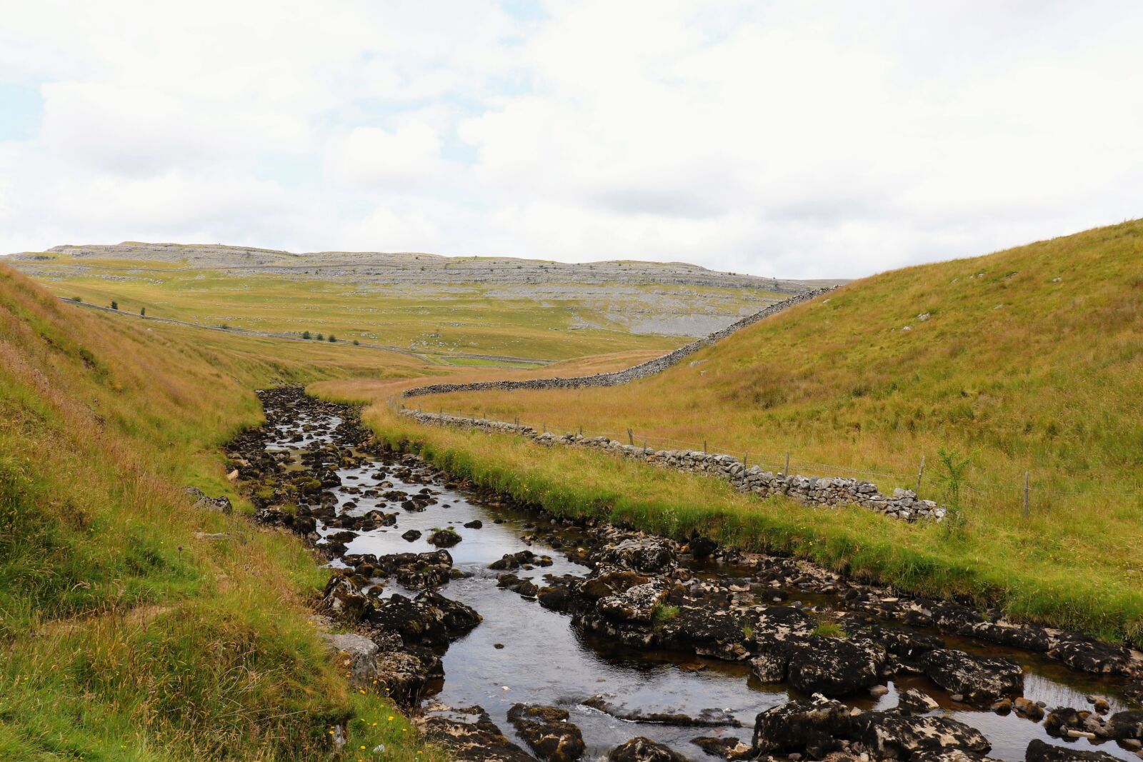 Canon EOS 77D (EOS 9000D / EOS 770D) sample photo. Yorkshire, dales, yorkshire dales photography