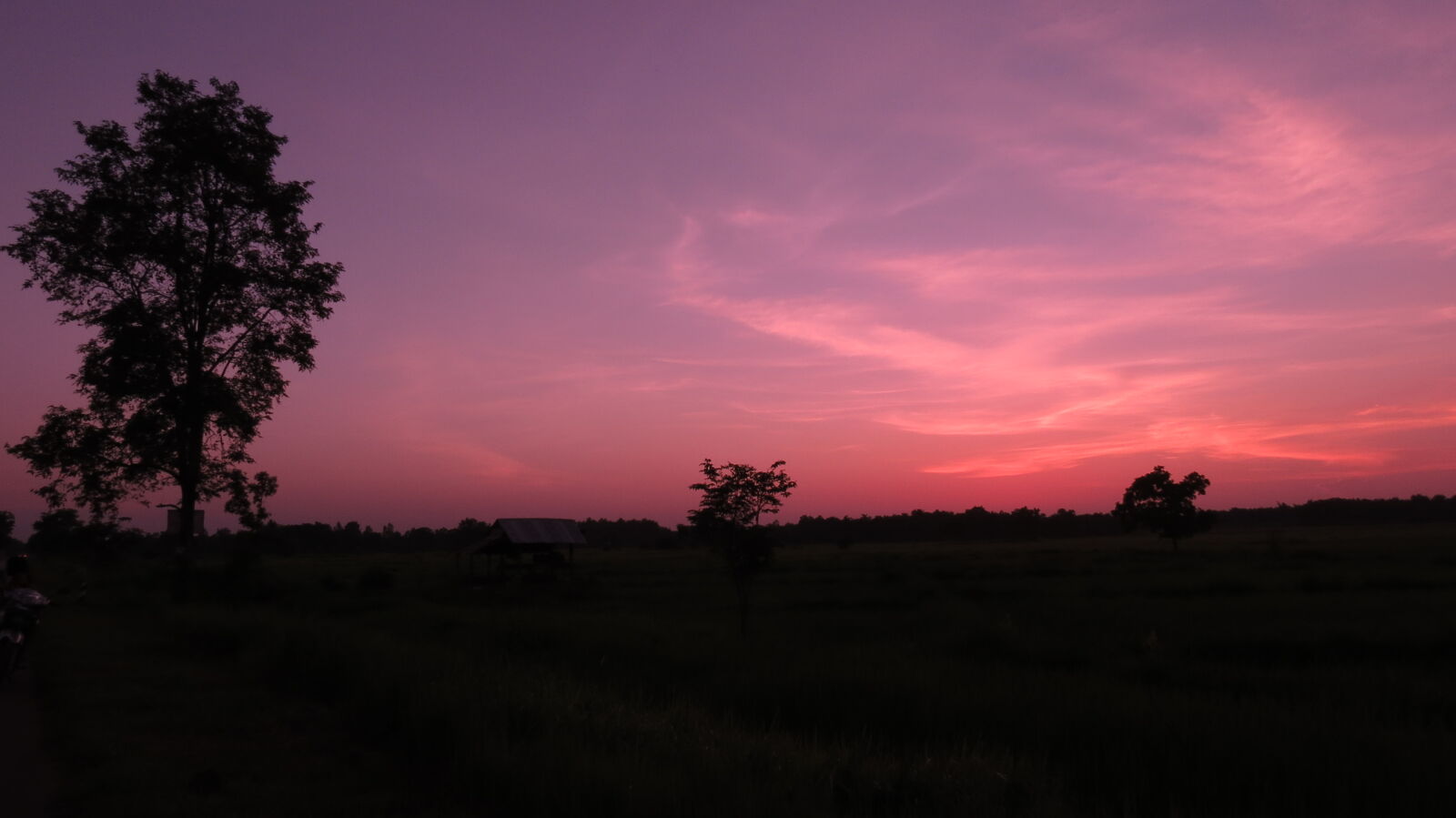 Canon PowerShot SX50 HS sample photo. Silhouette, of, trees, during photography