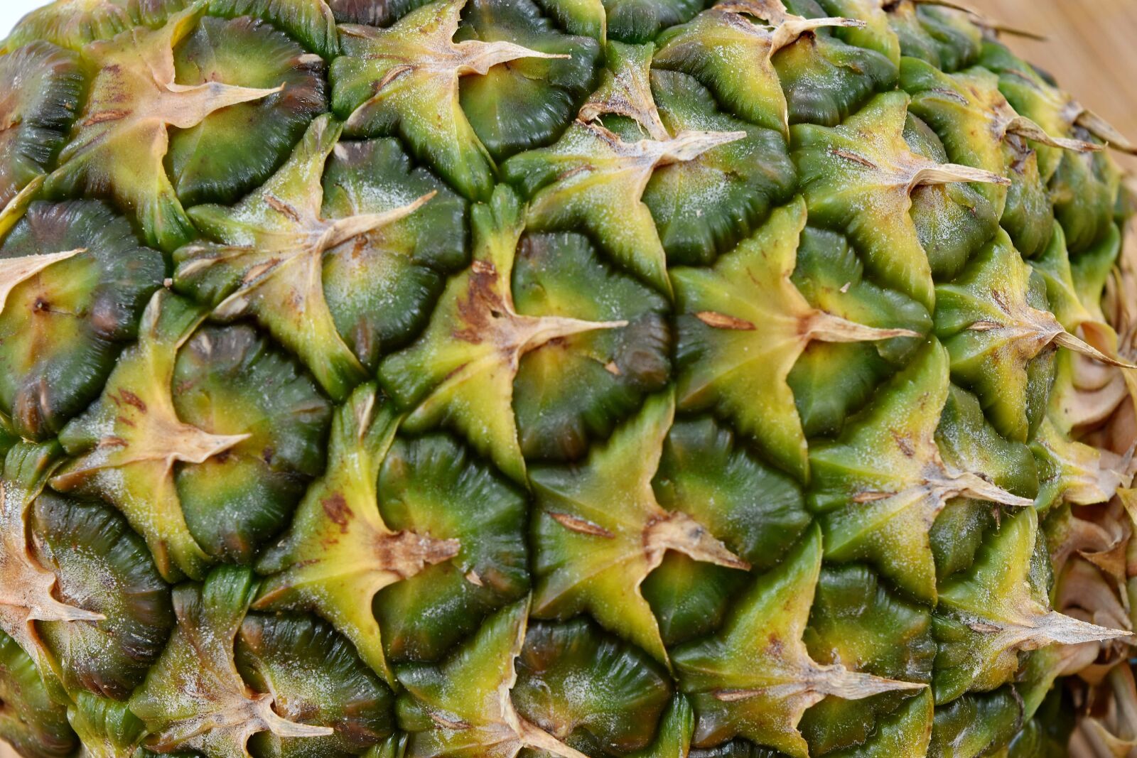 Nikon D5500 sample photo. Green, greenish yellow, pineapple photography