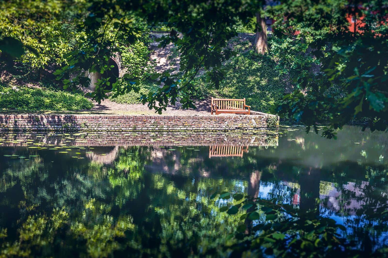 Canon EF 24-70mm F4L IS USM sample photo. Bench, park, lonely photography