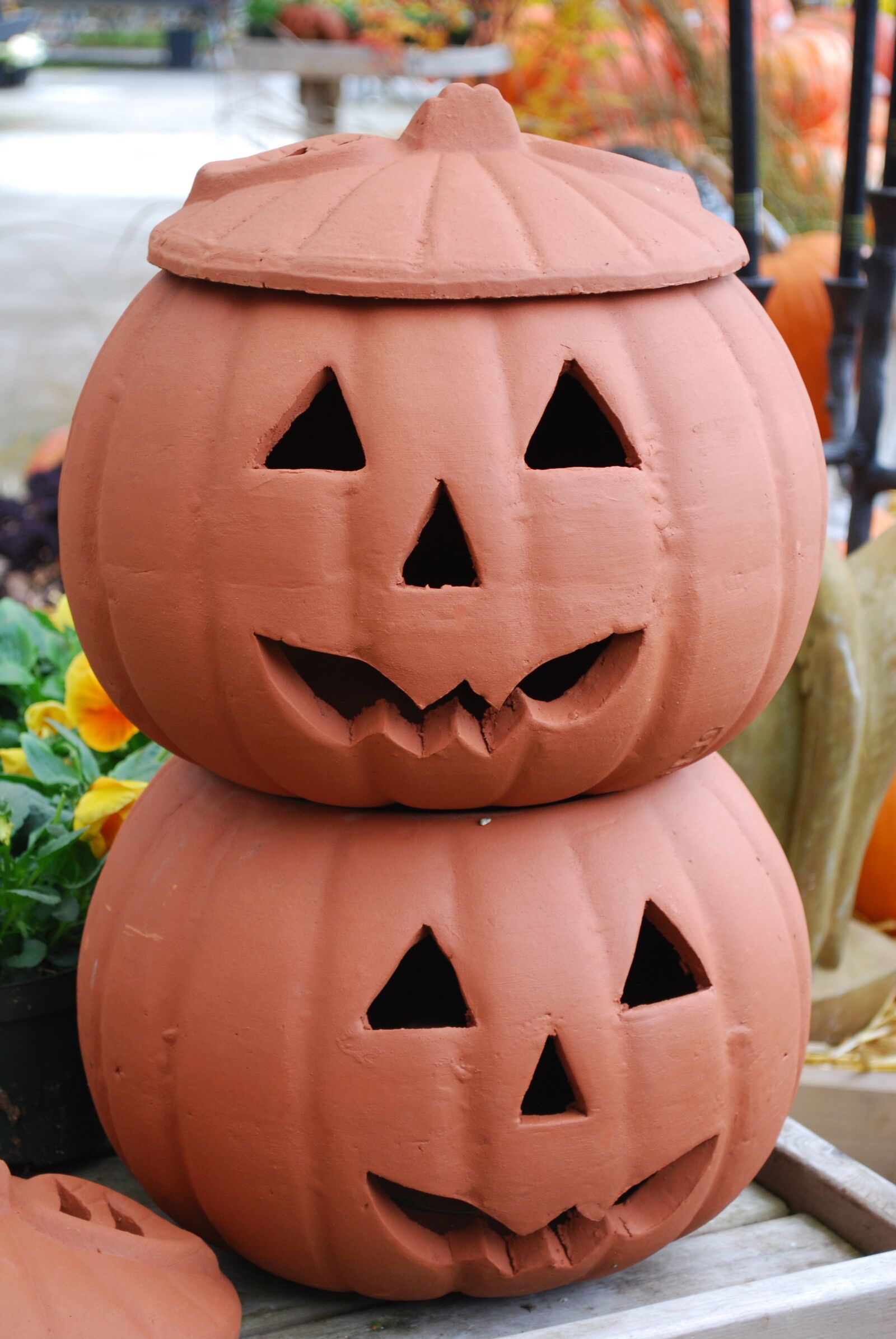 Nikon D60 sample photo. Jack-o-lanterns, halloween, pumpkins photography