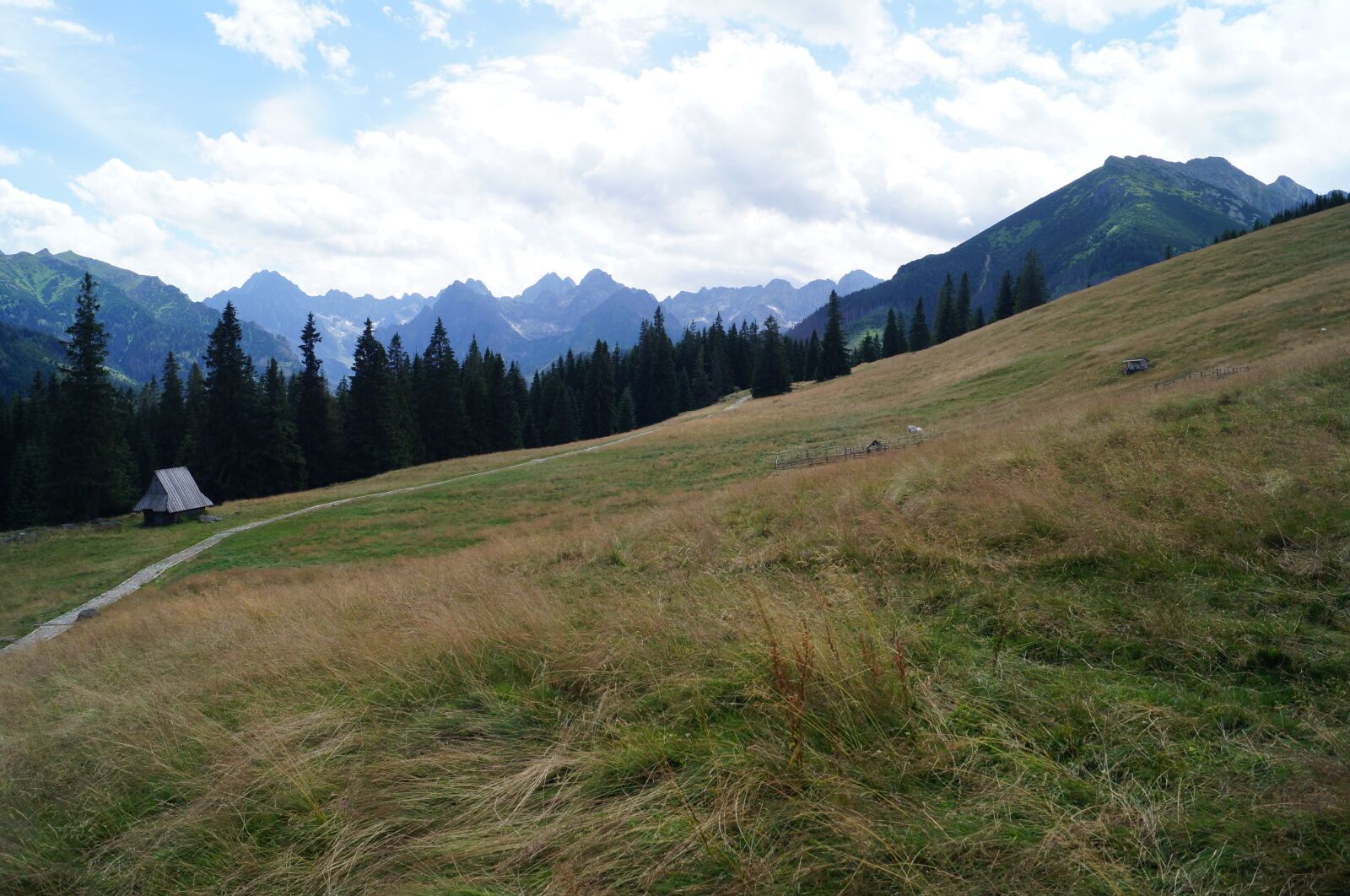 Sony SLT-A37 sample photo. Tatry, nature, mountains photography