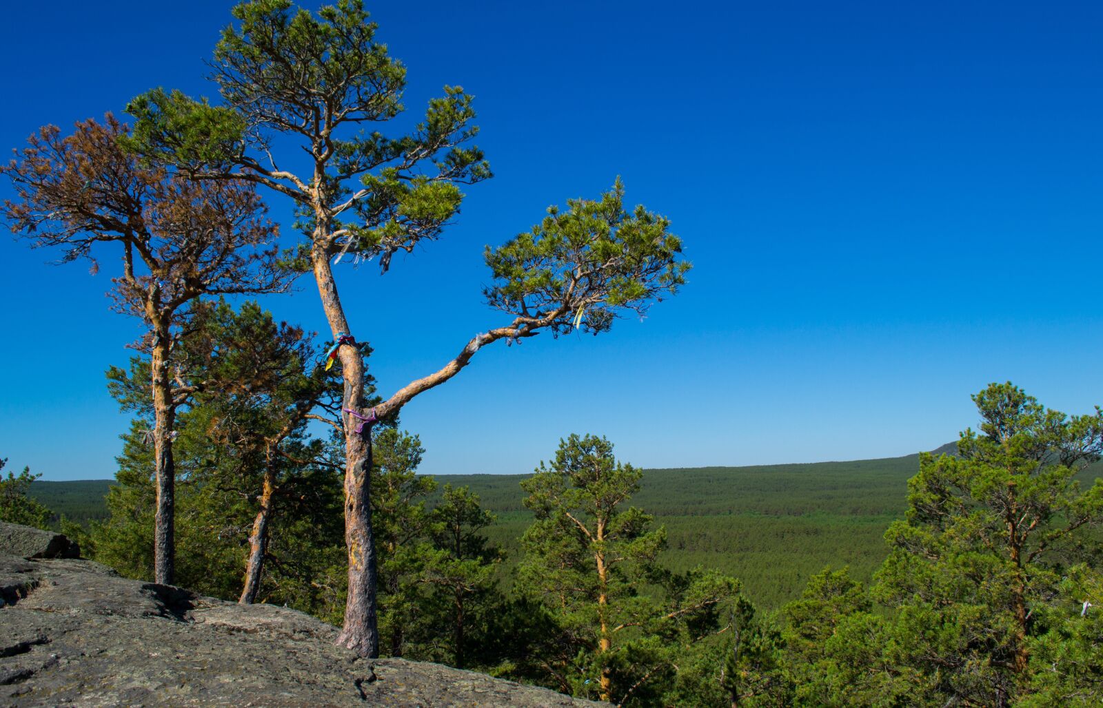Nikon D3100 sample photo. Zerenda, kazakhstan, village photography
