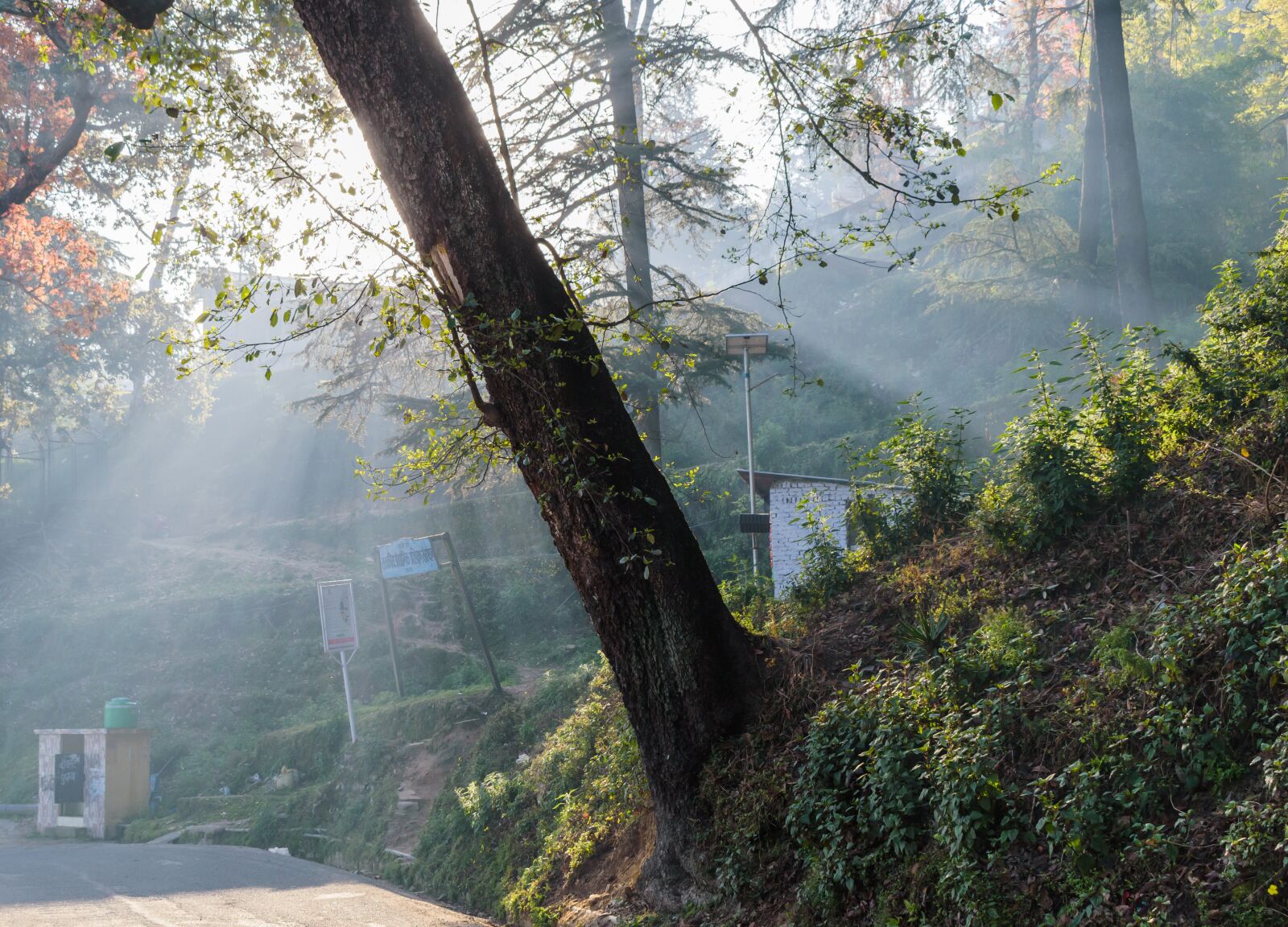 Nikon D5600 sample photo. Landscape, sunlight, light photography