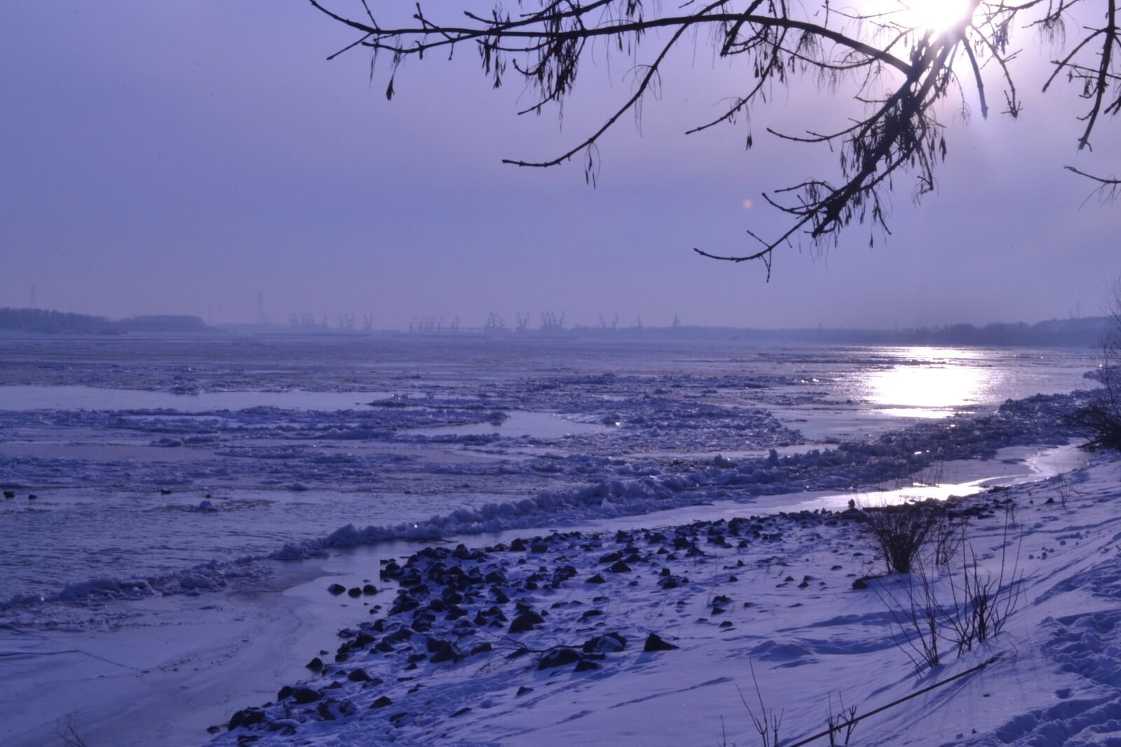 Nikon D3100 sample photo. Sun, the danube, winter photography
