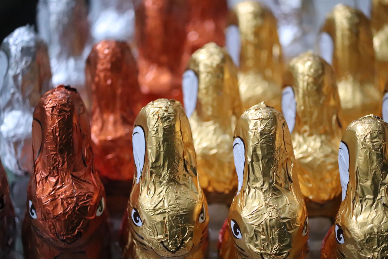 Canon EOS 200D (EOS Rebel SL2 / EOS Kiss X9) sample photo. Easter bunny, chocolate bunnies photography