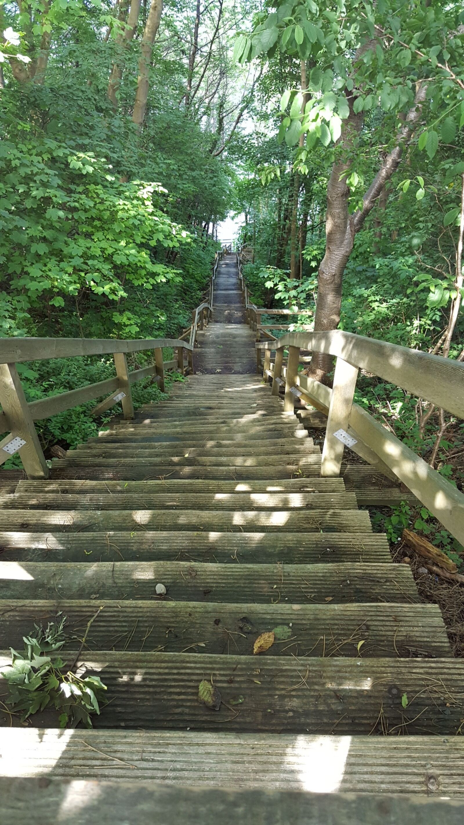 Samsung GALAXY S6 edge sample photo. Stairs, steep, down photography