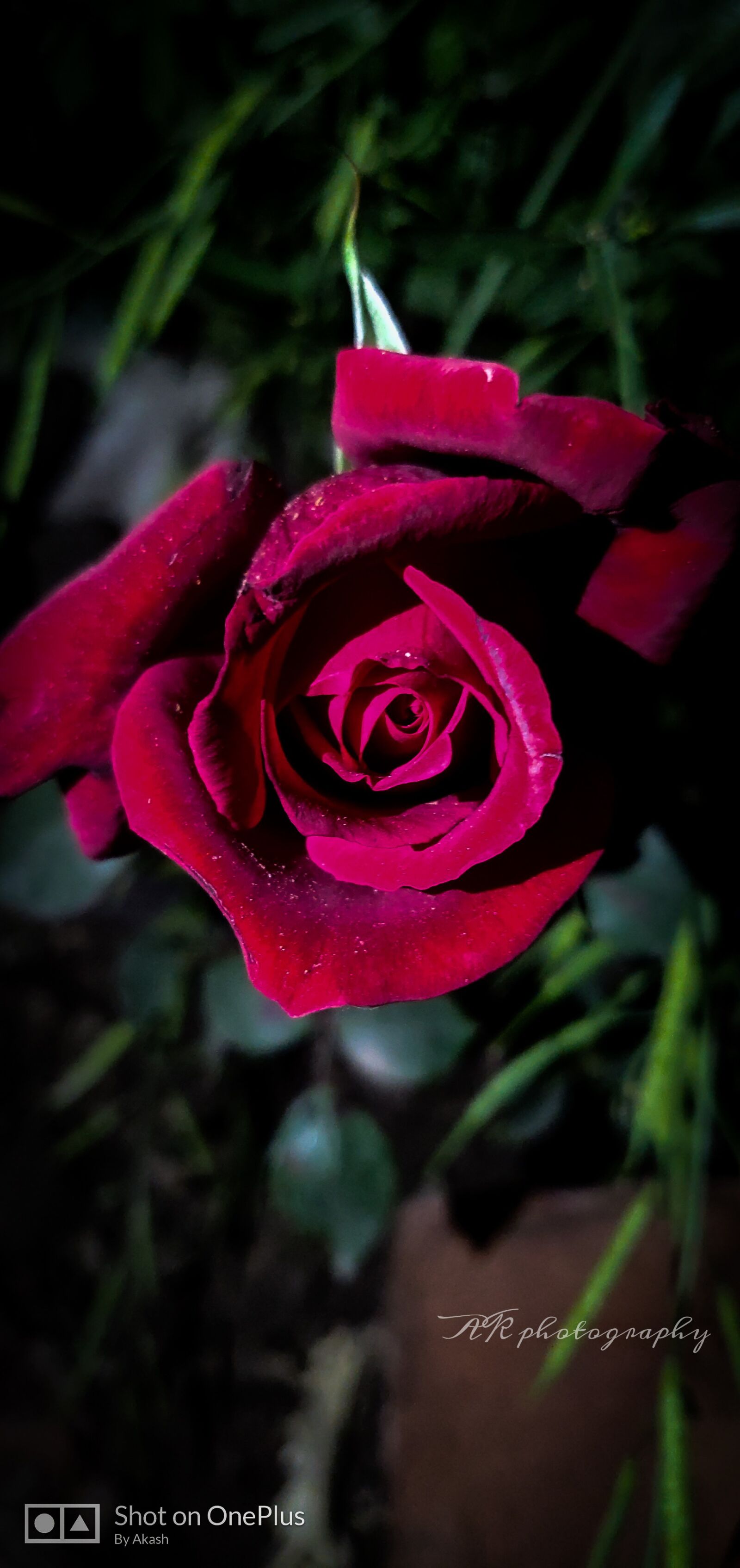 OnePlus A6000 sample photo. Oneplus 6, camera, ak photography photography