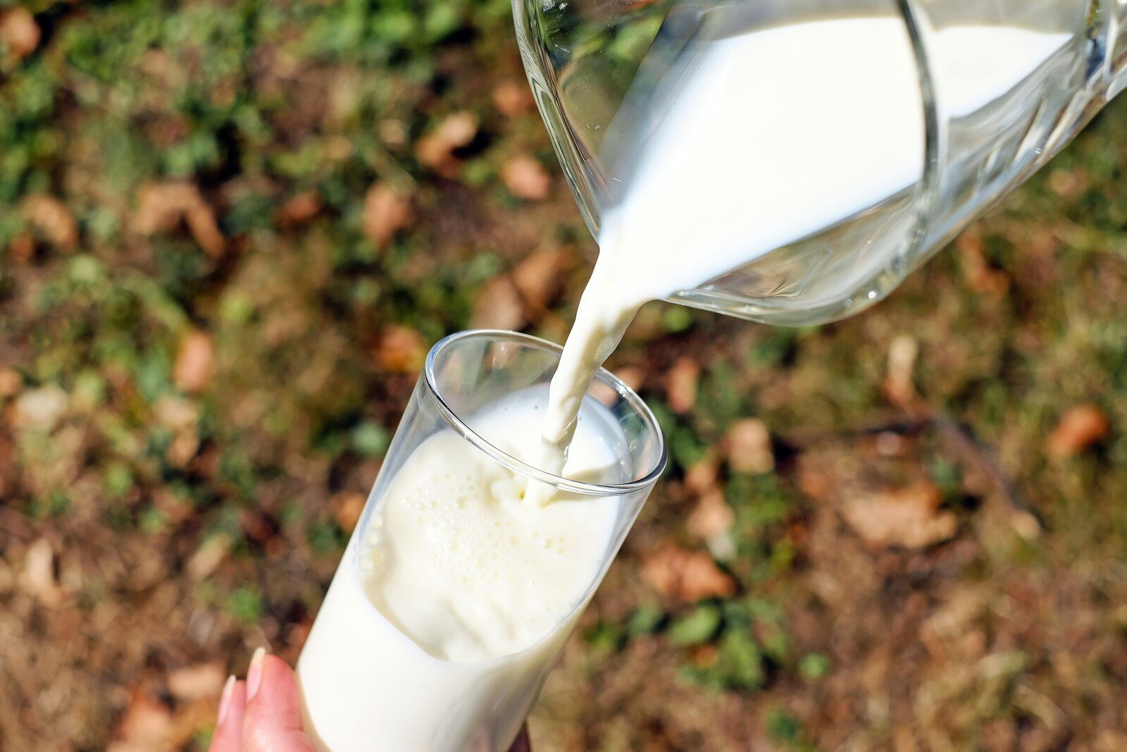 Fujifilm X-T10 + Fujifilm XF 35mm F1.4 R sample photo. Glass, milk, white photography