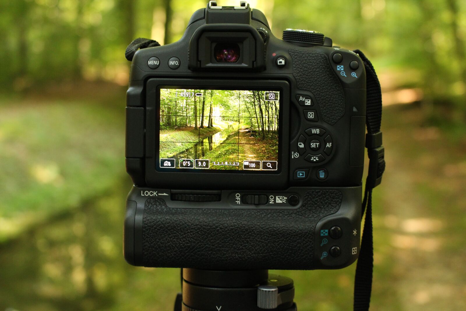 Canon EOS 700D (EOS Rebel T5i / EOS Kiss X7i) sample photo. Bach, switzerland, bergsee photography