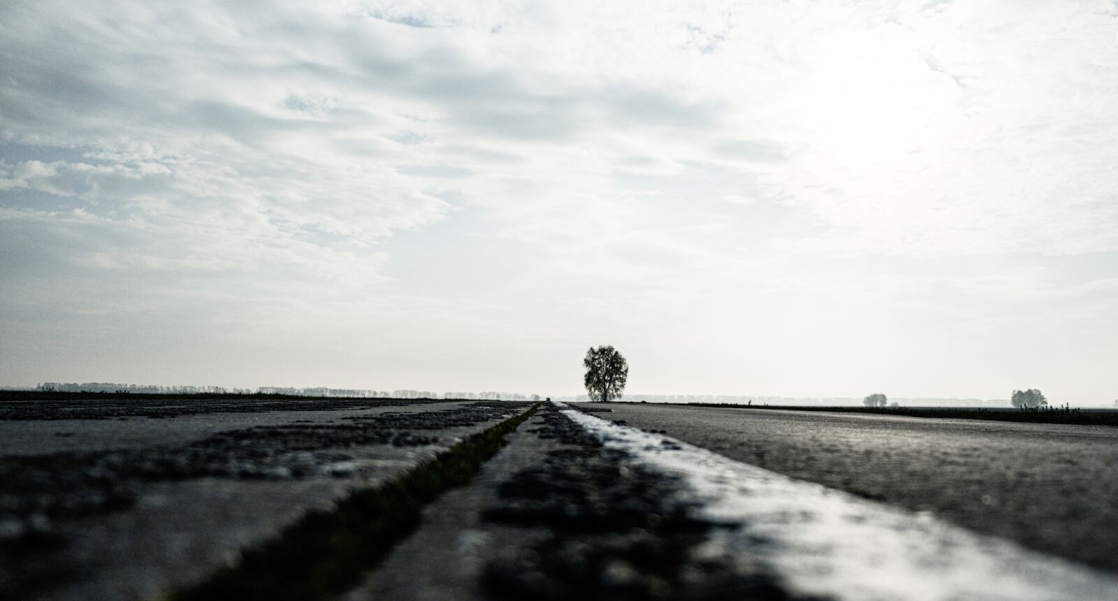 Fujifilm X-T3 sample photo. Road, highway, greenery photography