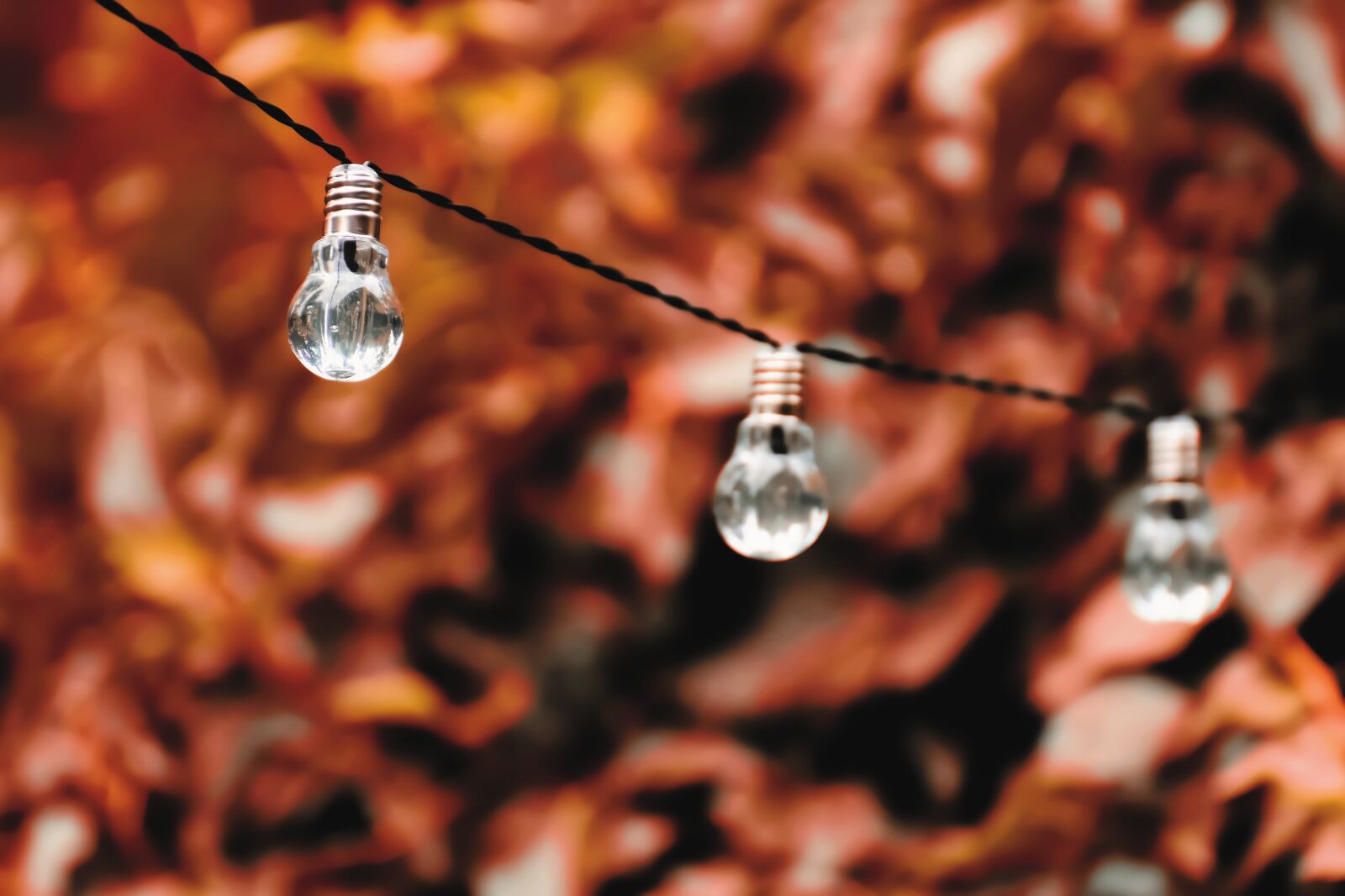 Nikon D7200 sample photo. Light bulb, energy, nature photography