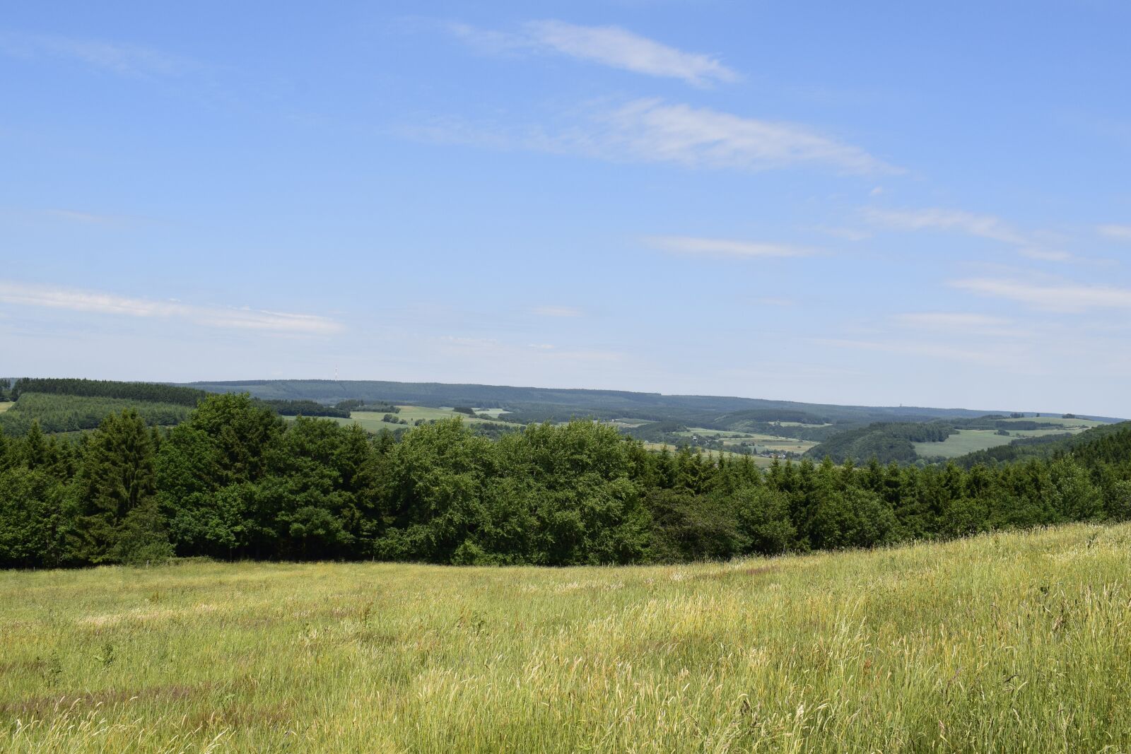 Nikon D3300 sample photo. Eifel, landscape, nature photography