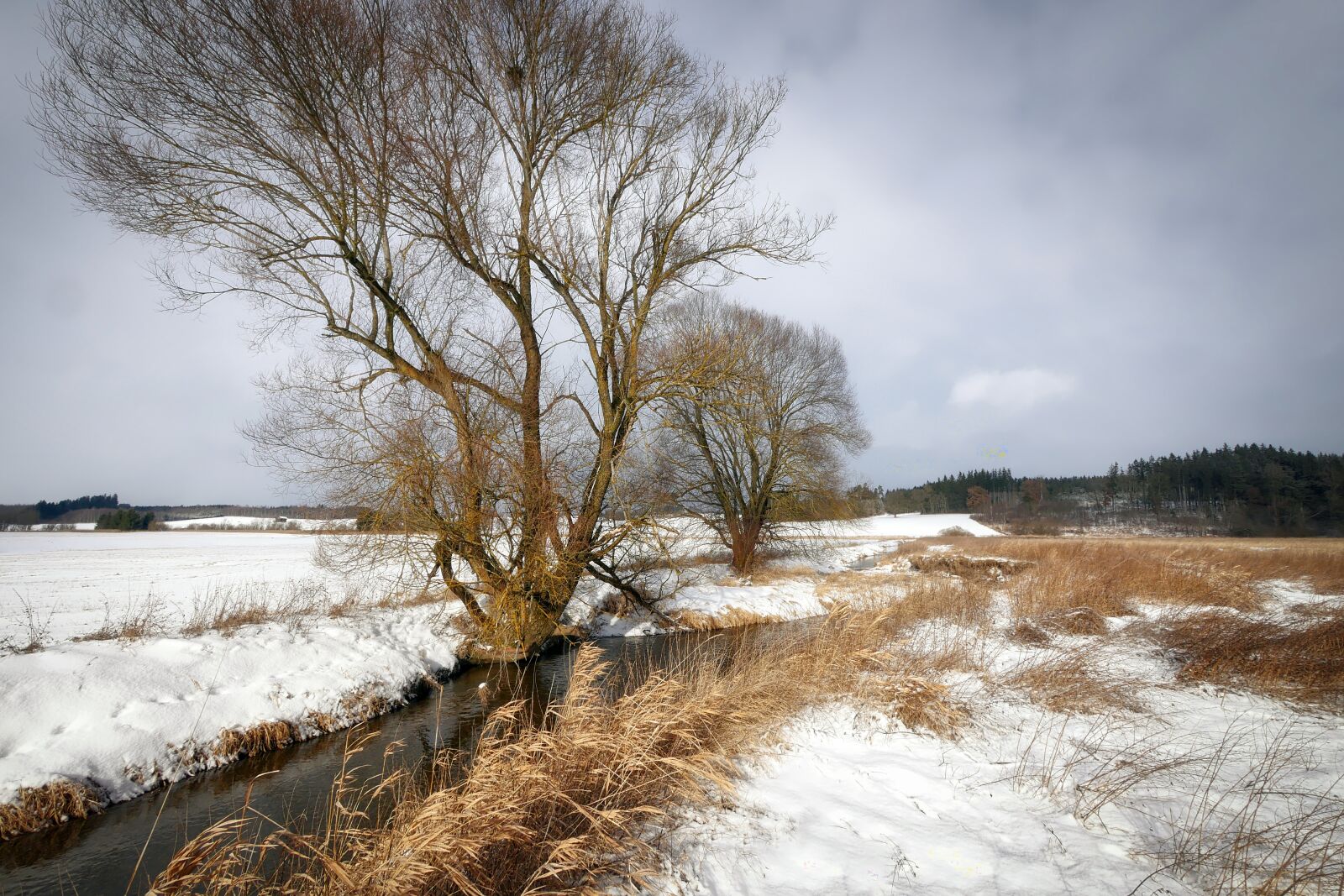 Panasonic Lumix DMC-GX8 sample photo. Nature, landscape, winter photography