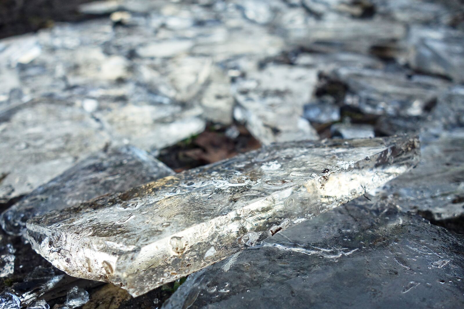Sony Cyber-shot DSC-RX100 sample photo. Ice, ice splinter, broken photography