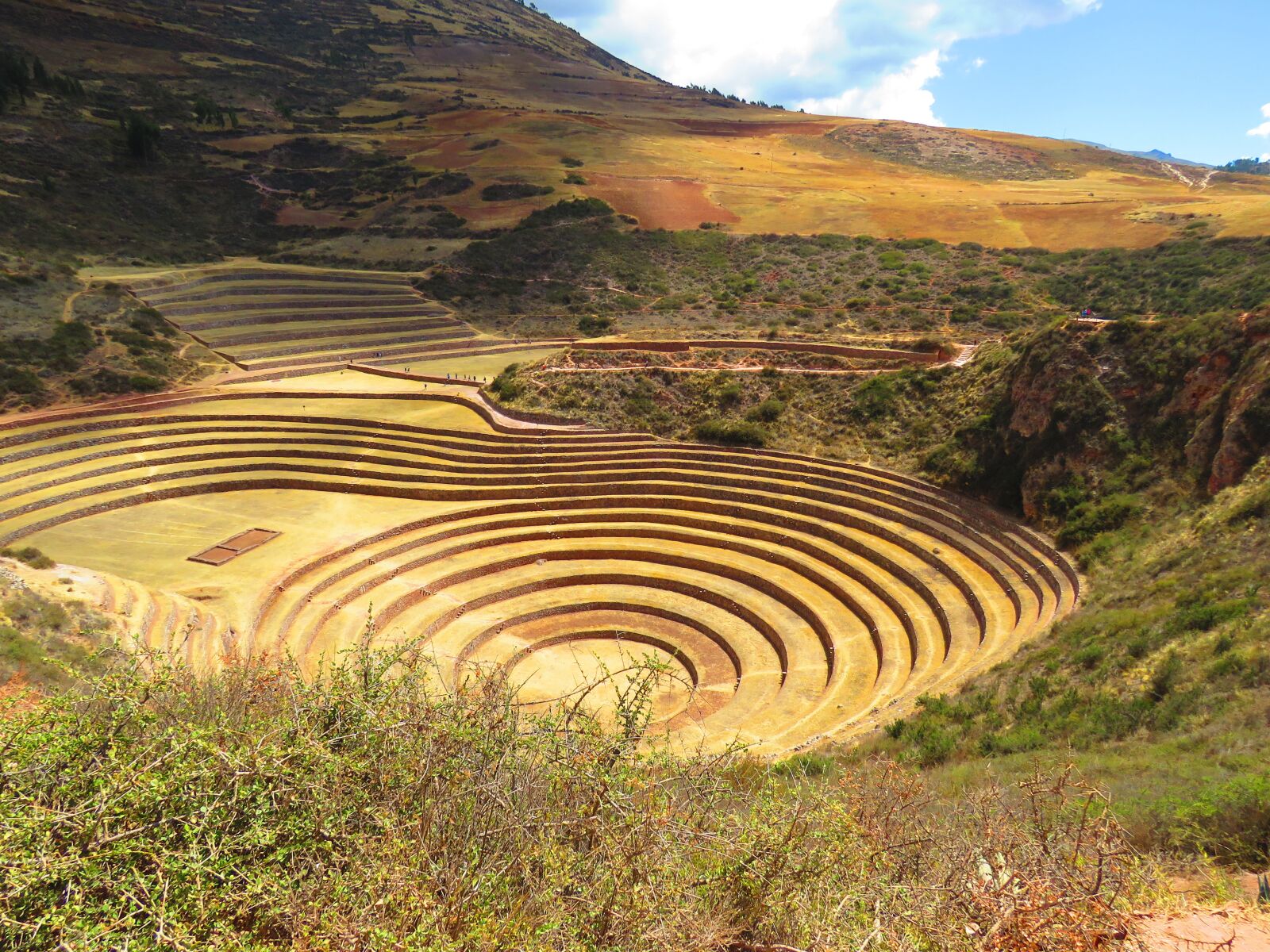 Canon PowerShot SX60 HS sample photo. Landscape, agriculture, terraces photography