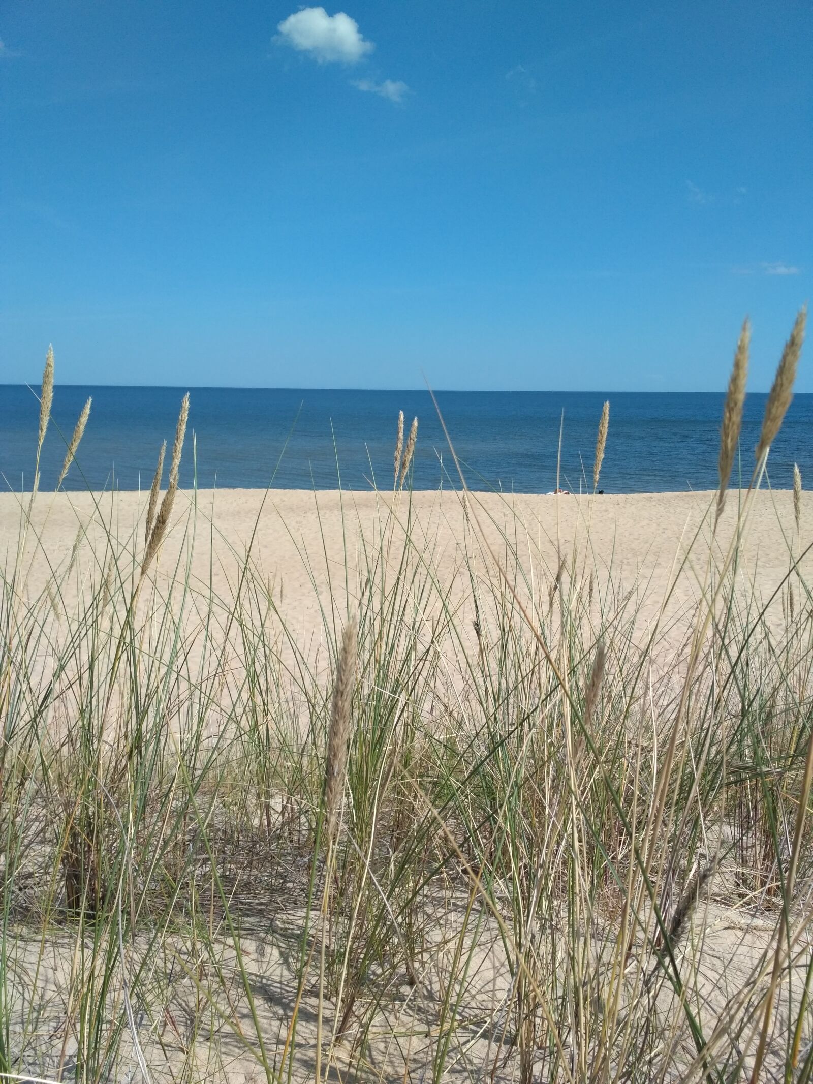 Xiaomi Redmi 3X sample photo. Sea, dunes, summer photography