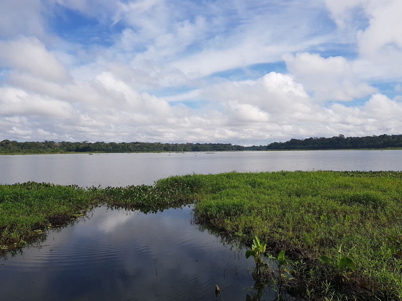 Samsung Galaxy S8 sample photo. Parque do utinga, lake photography