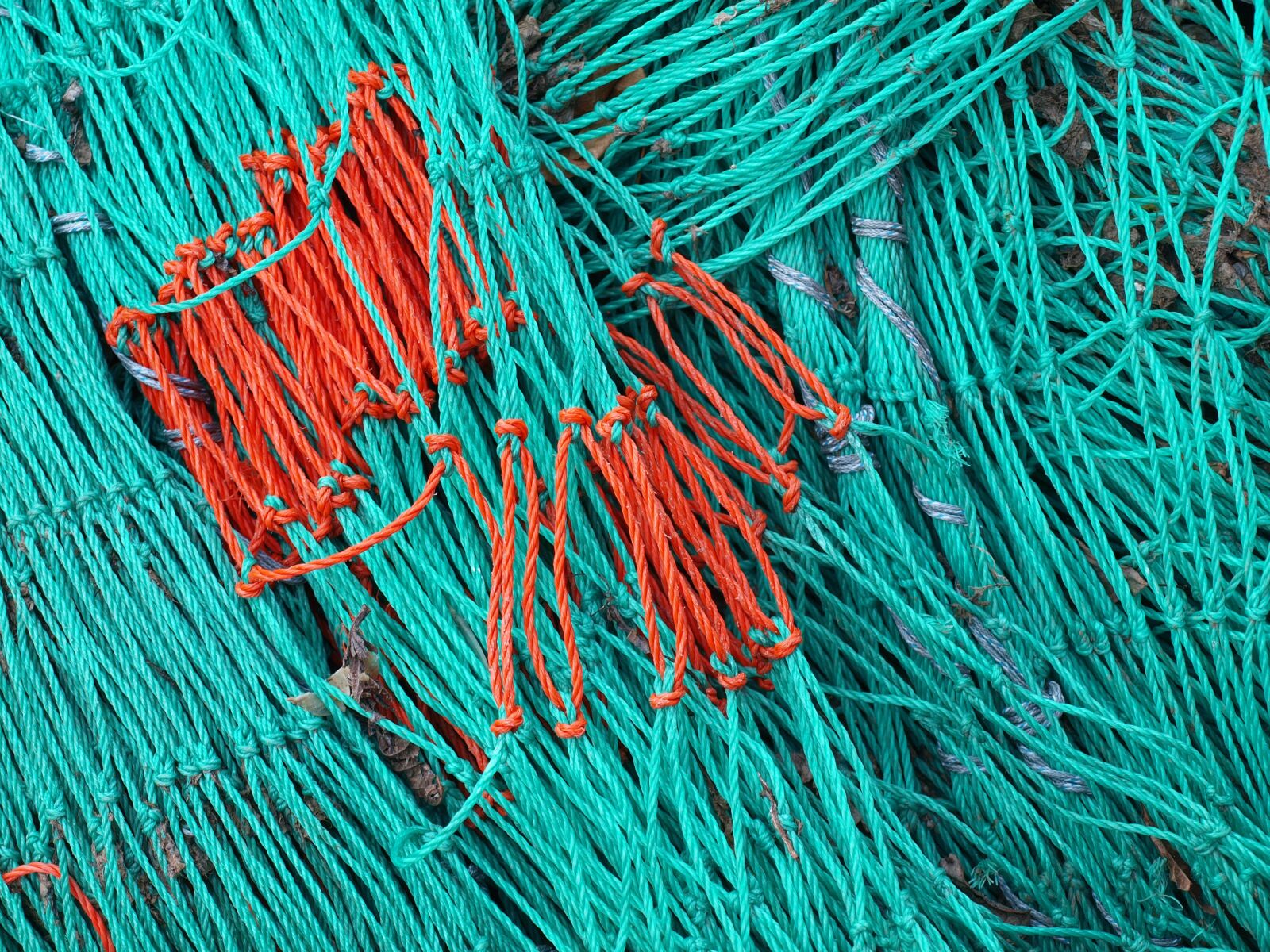 Olympus E-520 (EVOLT E-520) sample photo. Web, fishing net, fishing photography