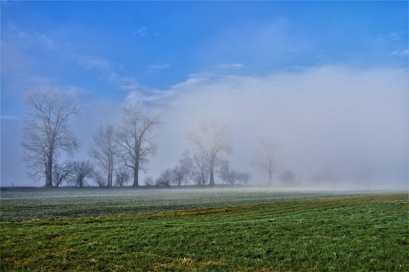 Nikon D3400 sample photo. Nature, panorama, landscape photography