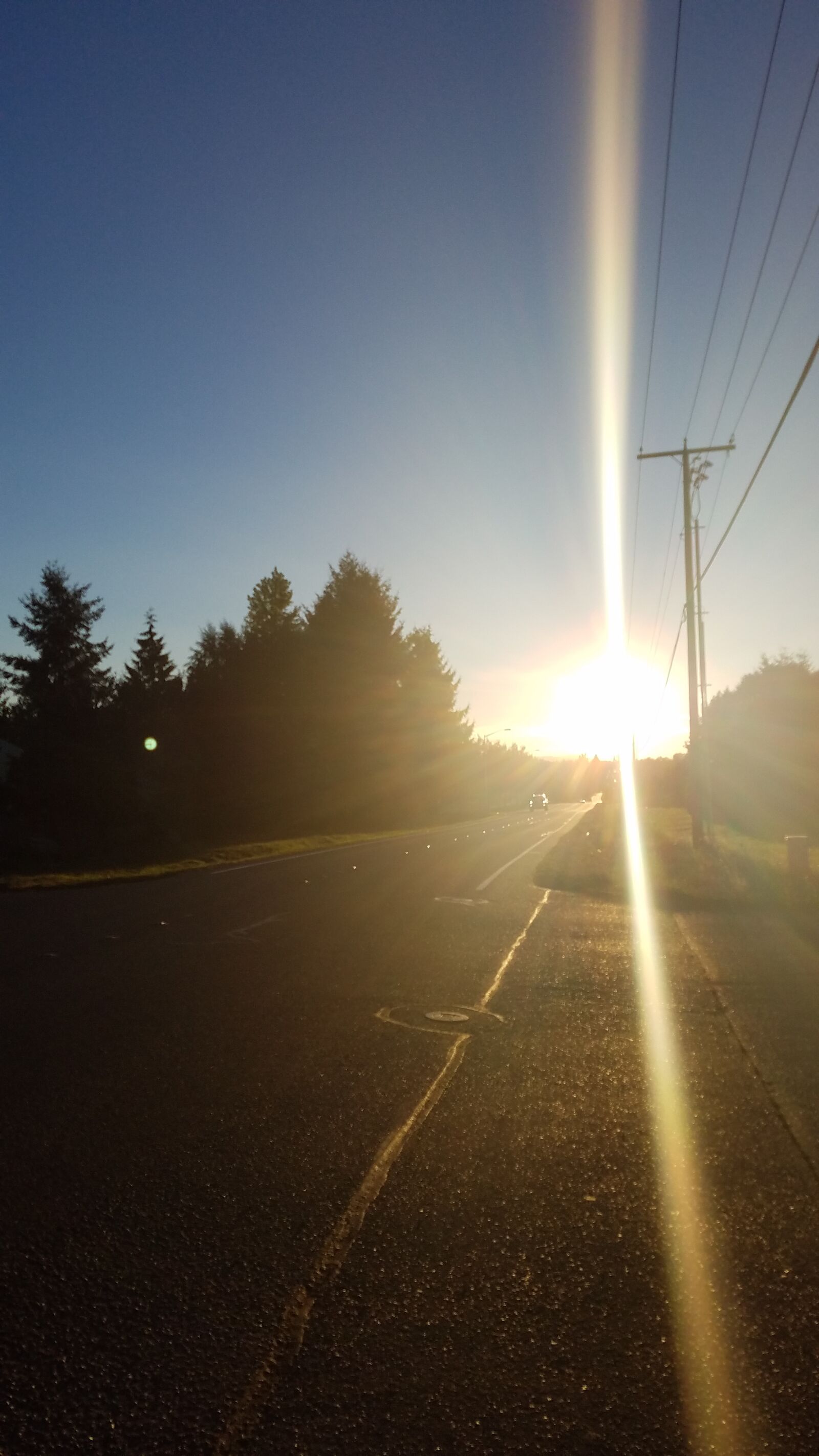 Samsung Galaxy S7 sample photo. Road, sun, trees photography