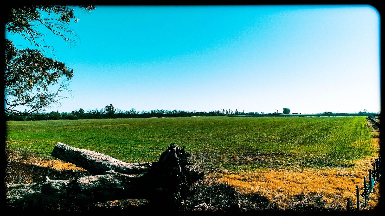 DJI FC6310 sample photo. Landscape, field, beautiful photography