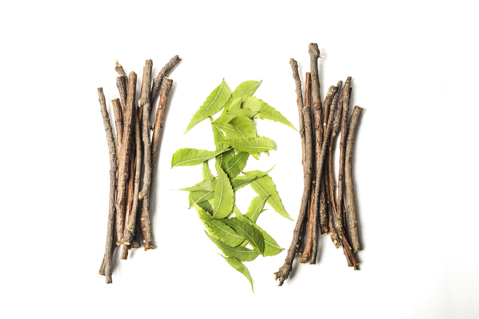 Canon EOS 5D Mark III sample photo. Ayurveda, ayurveda herbs, beauty photography