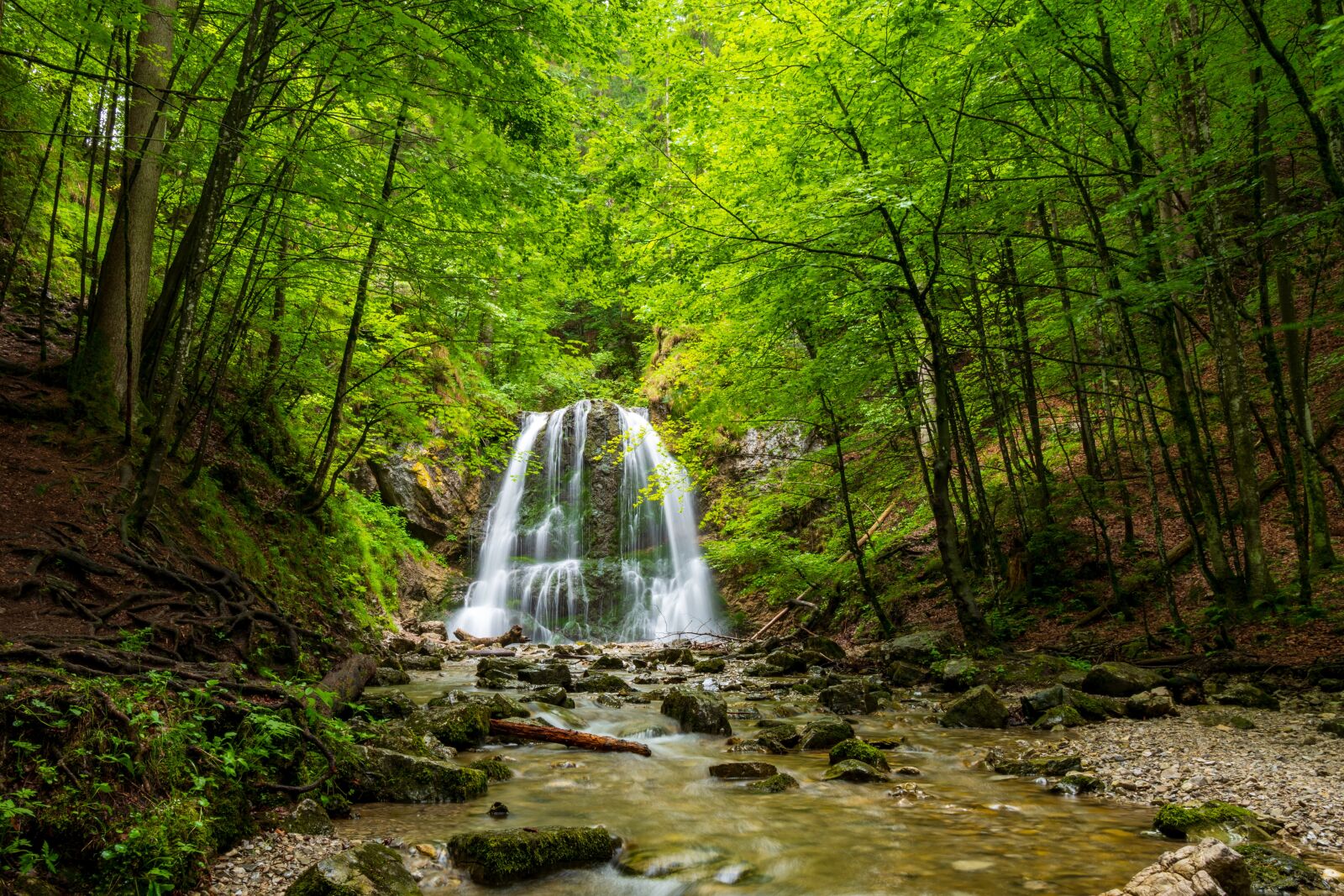 Leica Vario-Elmarit-SL 24-90mm F2.8-4 ASPH sample photo. Waterfall, forest, nature photography