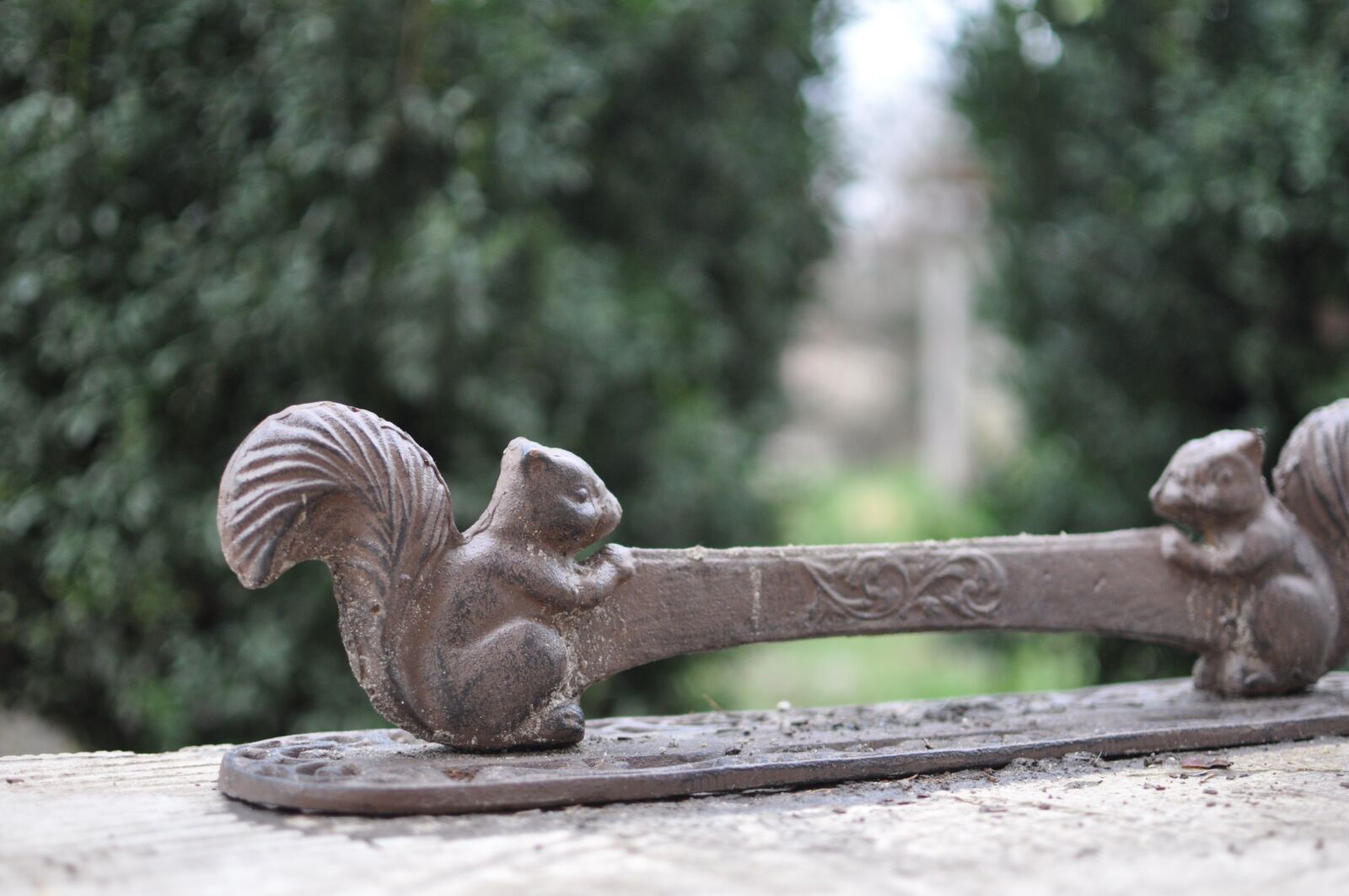Nikon D90 sample photo. Doormat, squirrel, iron photography