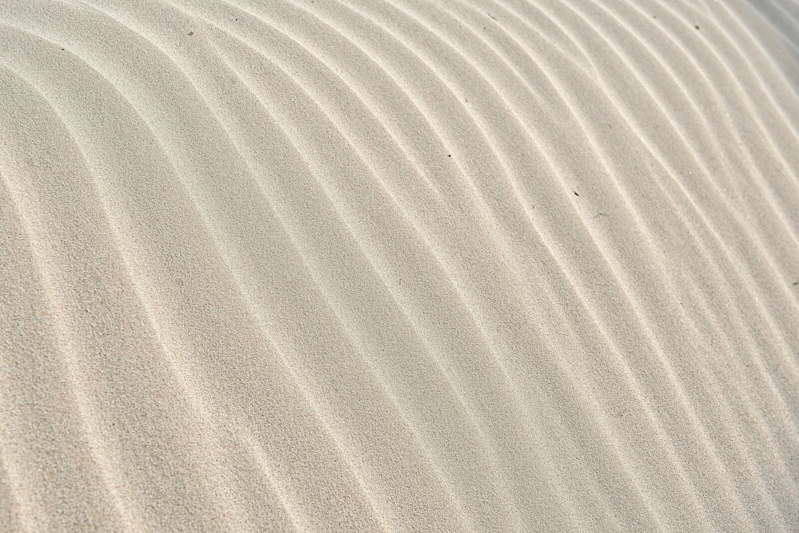 Nikon D800 sample photo. Sand, pattern, wave photography
