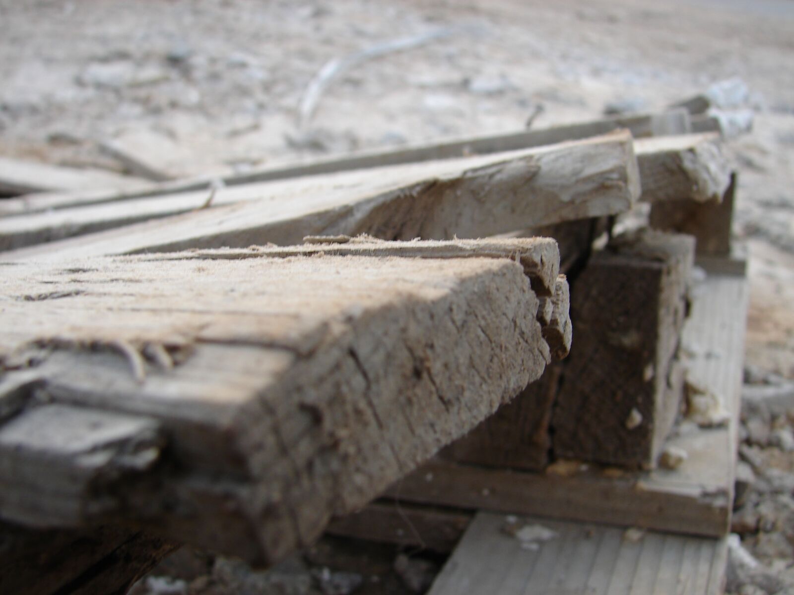 Sony DSC-H1 sample photo. Rhapsody, wood, broken photography