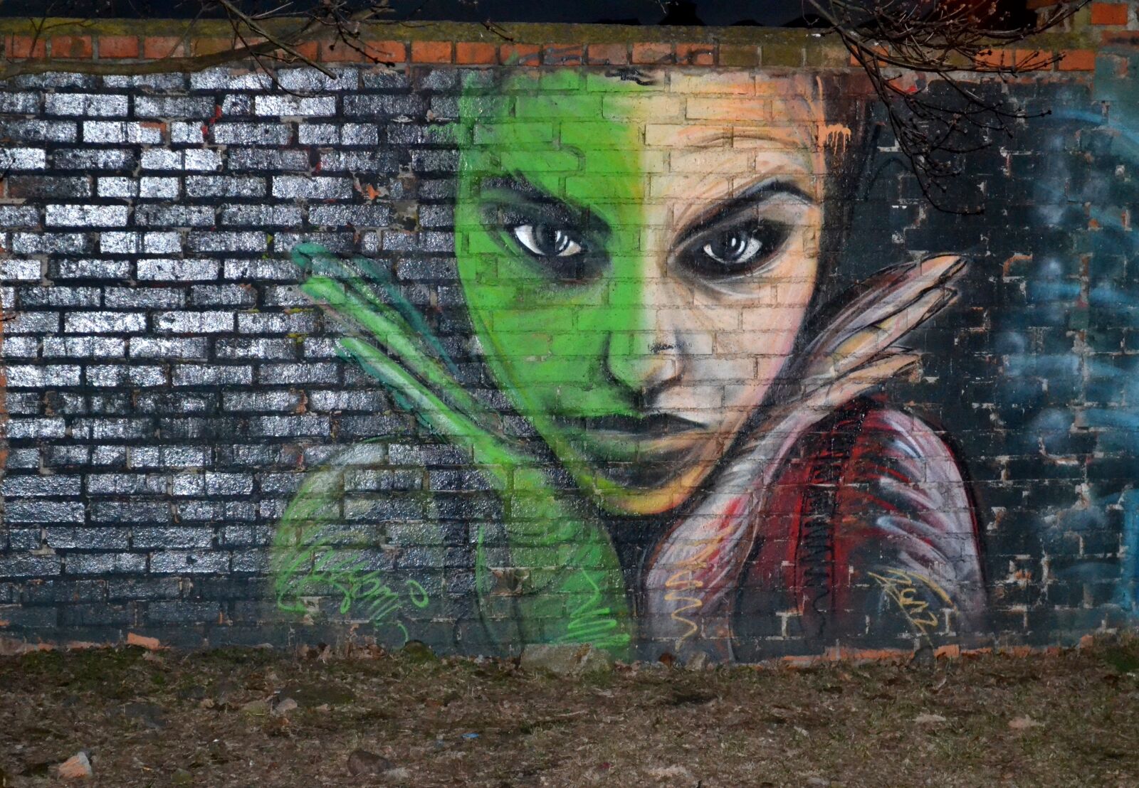 Nikon D3100 sample photo. Modern art, street art photography