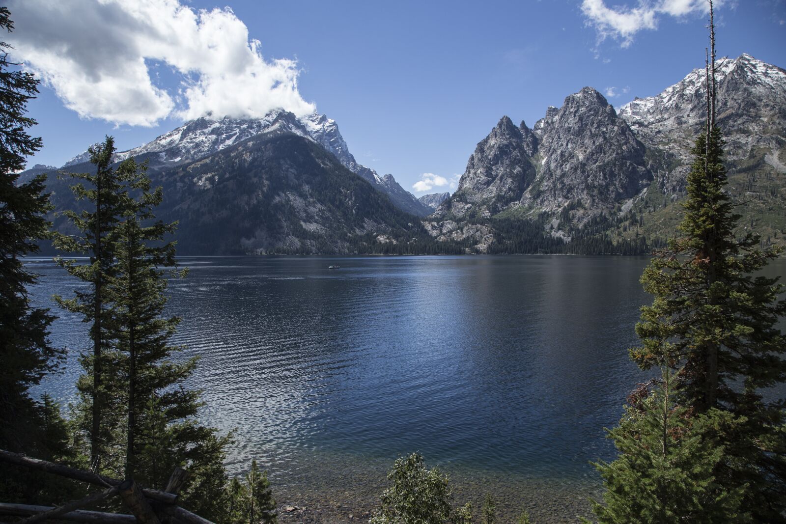 Canon EOS 6D + Canon EF 24-105mm F4L IS USM sample photo. Jenny lake, wyoming, summer photography