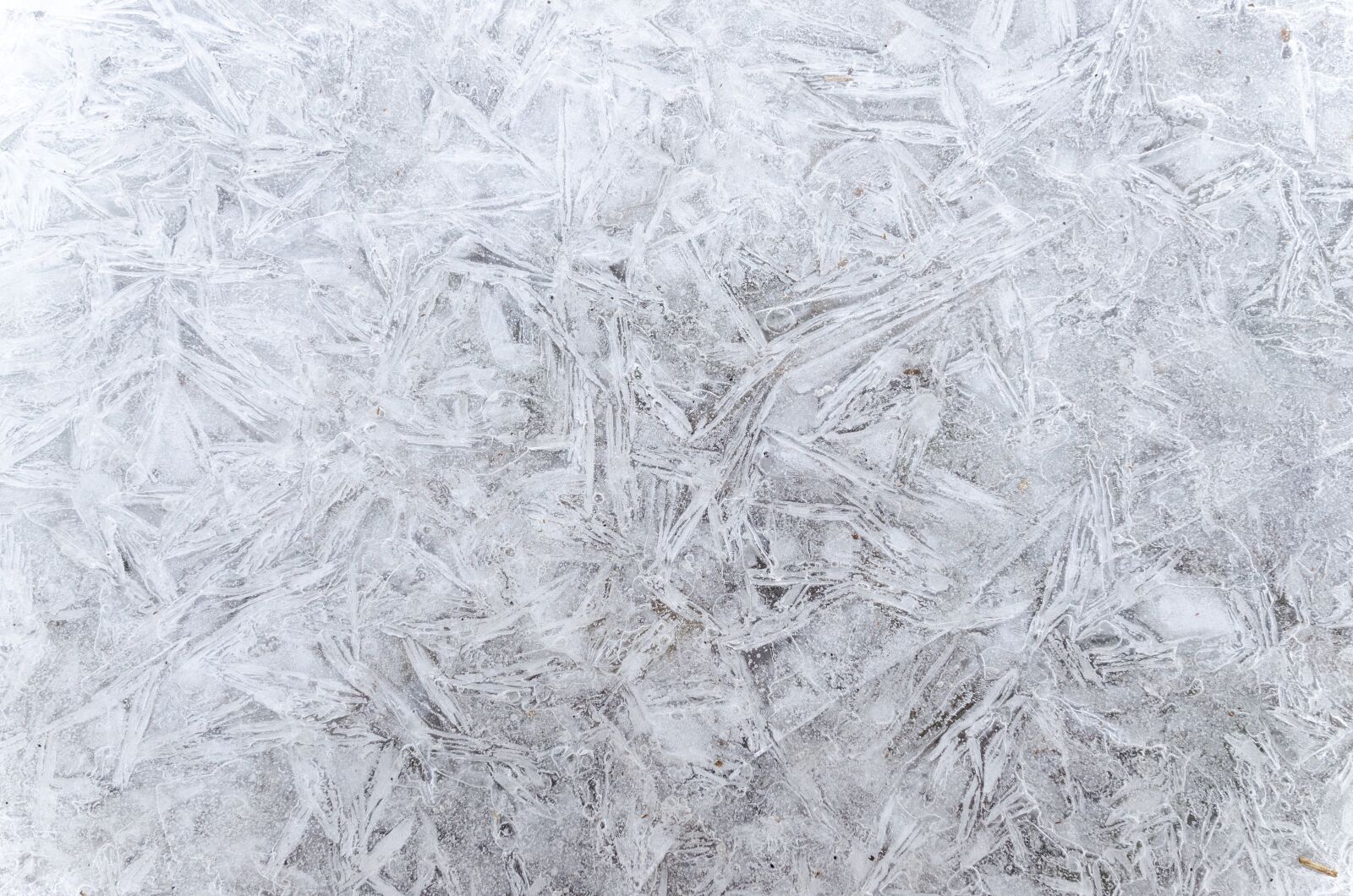 Nikon D5100 sample photo. Pattern, winter, cold photography
