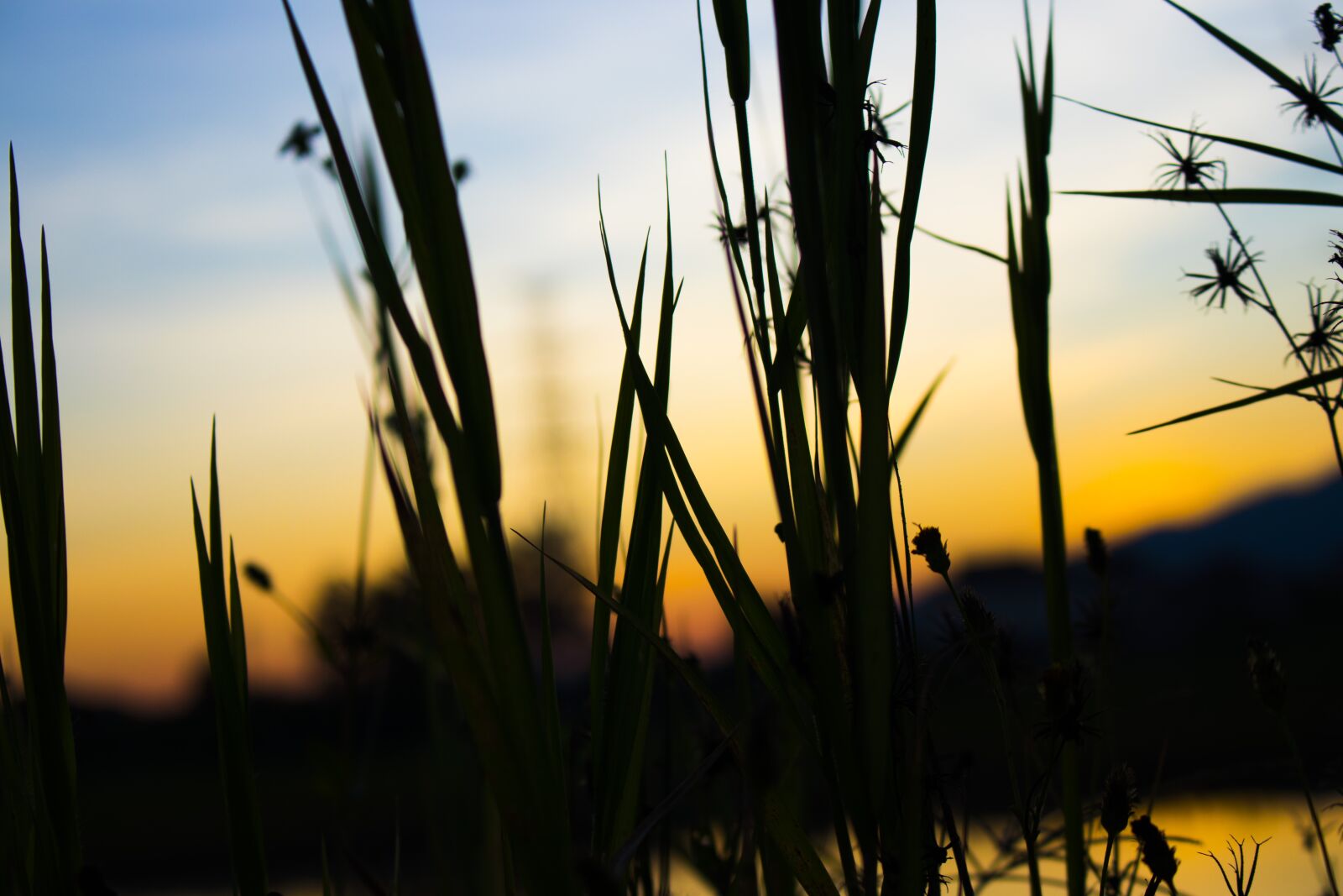 Canon EOS 77D (EOS 9000D / EOS 770D) sample photo. Evening, sunset, color photography