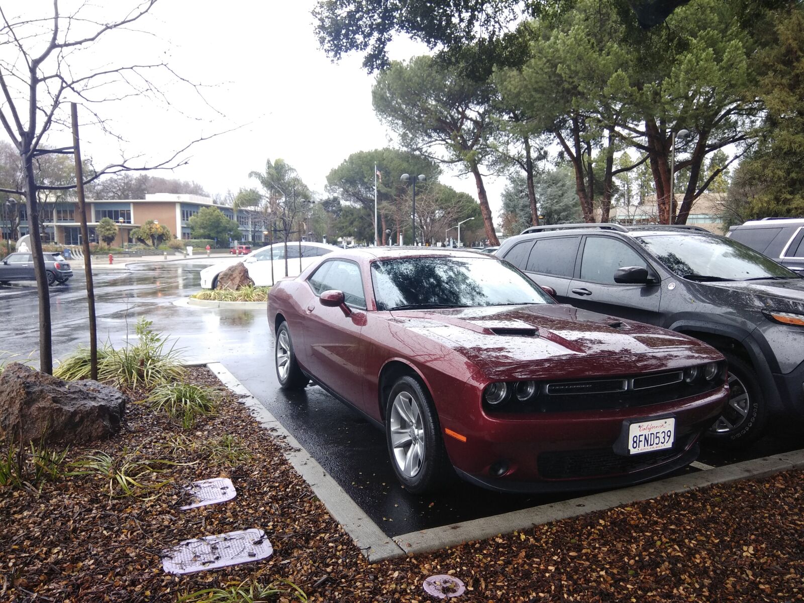 Xiaomi Redmi Note 4 sample photo. Dodgechallenger, car, varianparking photography