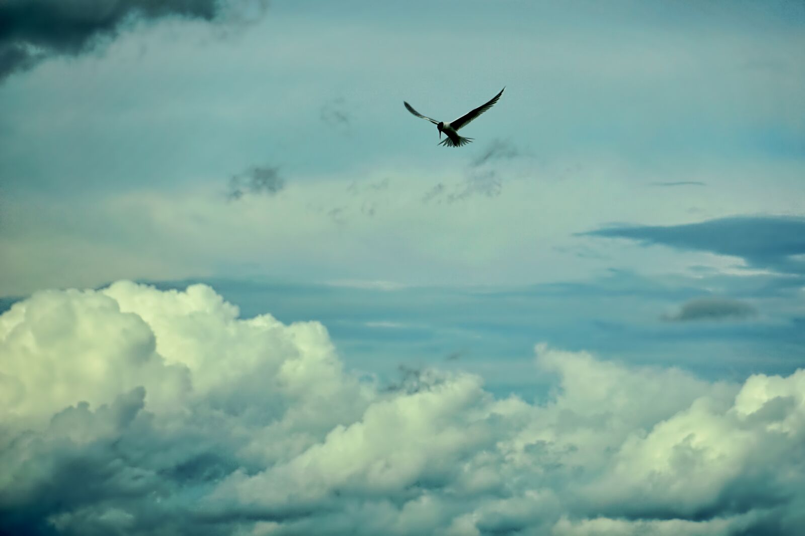 Sony E 18-135mm F3.5-5.6 OSS sample photo. Sky, nature, cloud photography