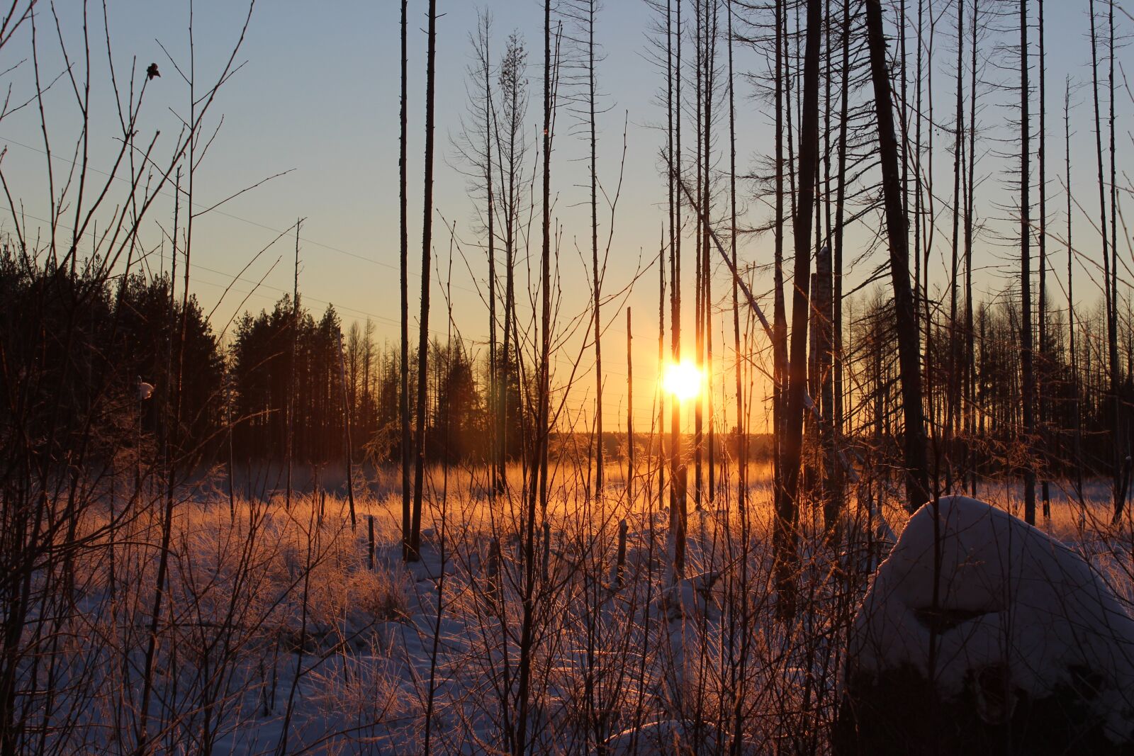 Canon EOS 600D (Rebel EOS T3i / EOS Kiss X5) sample photo. Dawn, reflection, nature photography