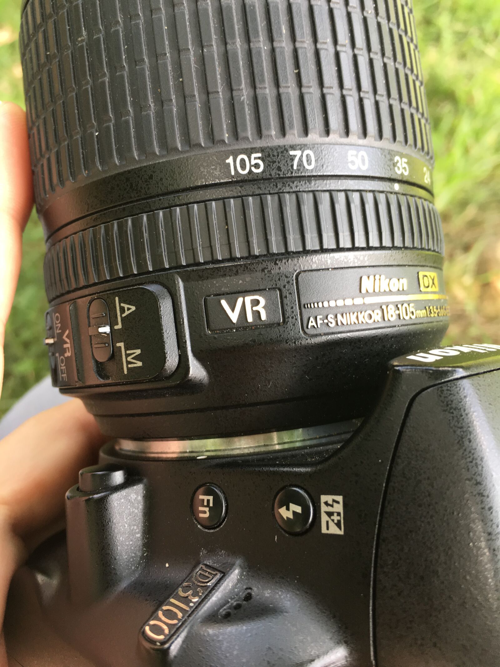 Apple iPhone 6s Plus sample photo. Nikon, camera, lens photography