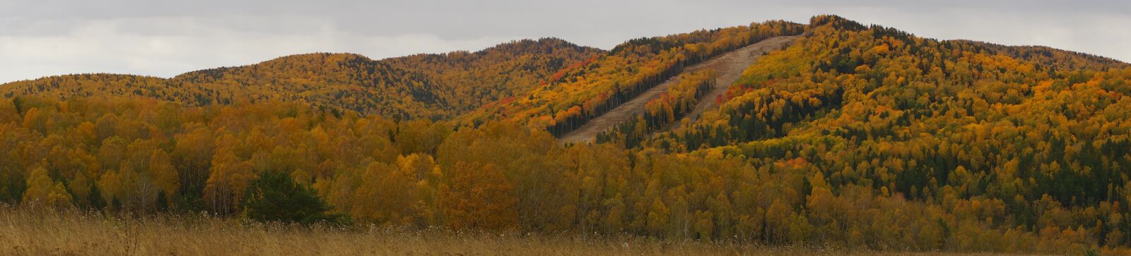 Minolta AF 50mm F1.4 [New] sample photo. Mountains, autumn, landscape photography