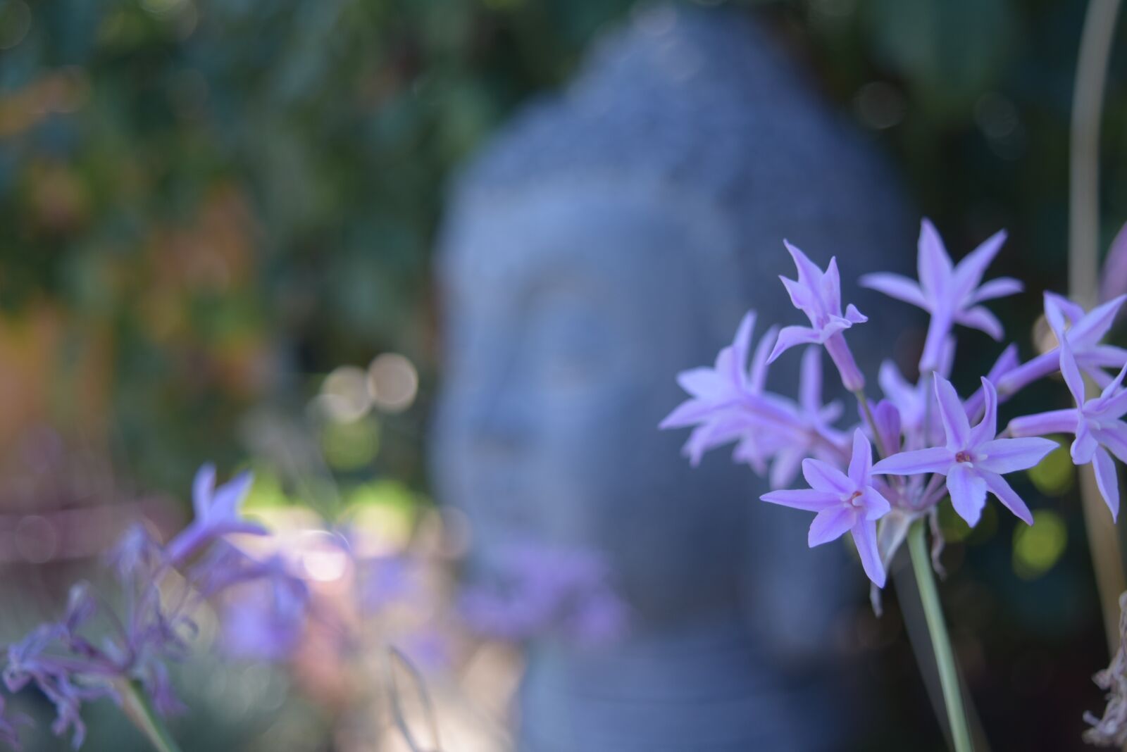 Nikon D3300 sample photo. Buddha, depth of field photography