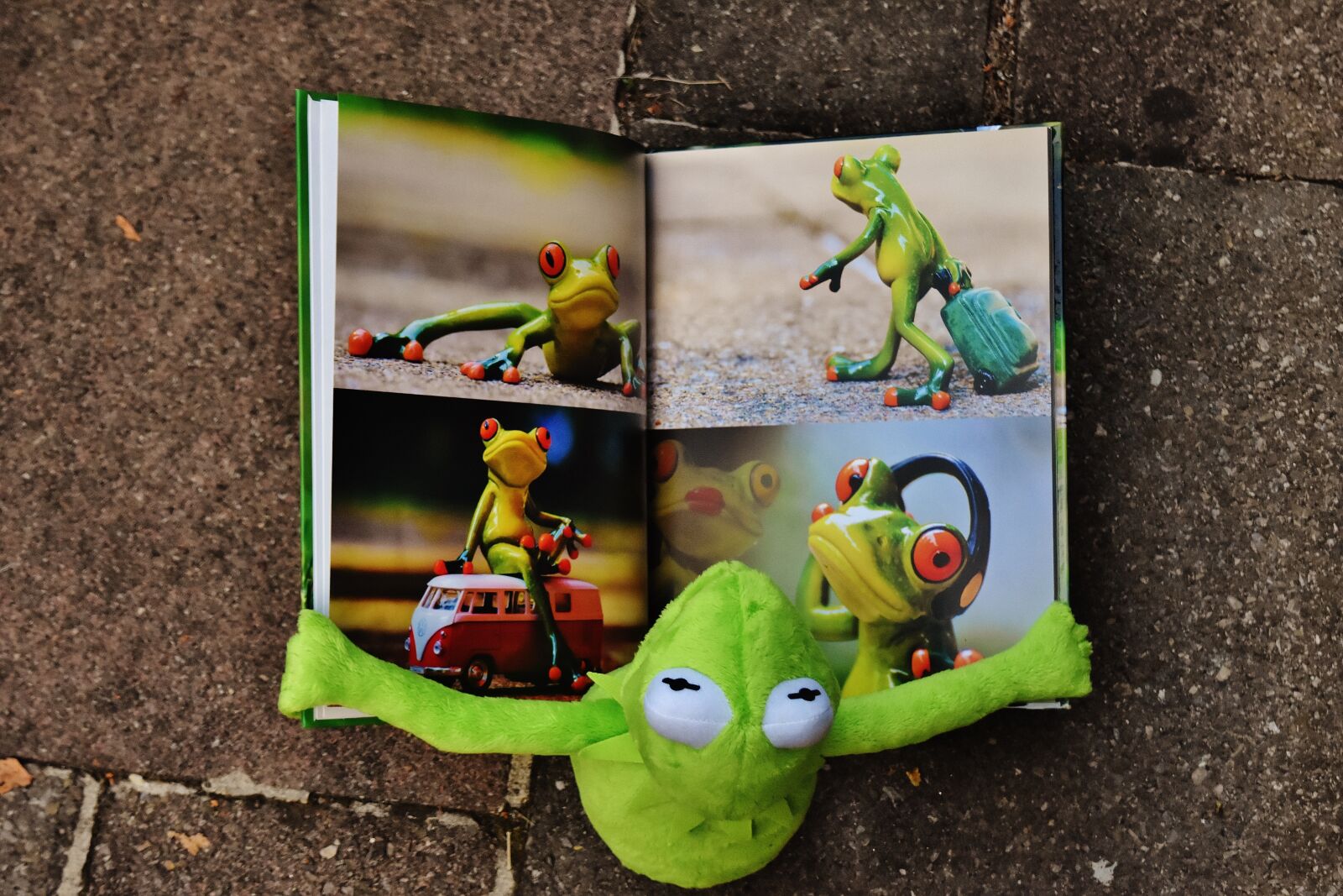 Nikon D7200 sample photo. Kermit, book, picture book photography