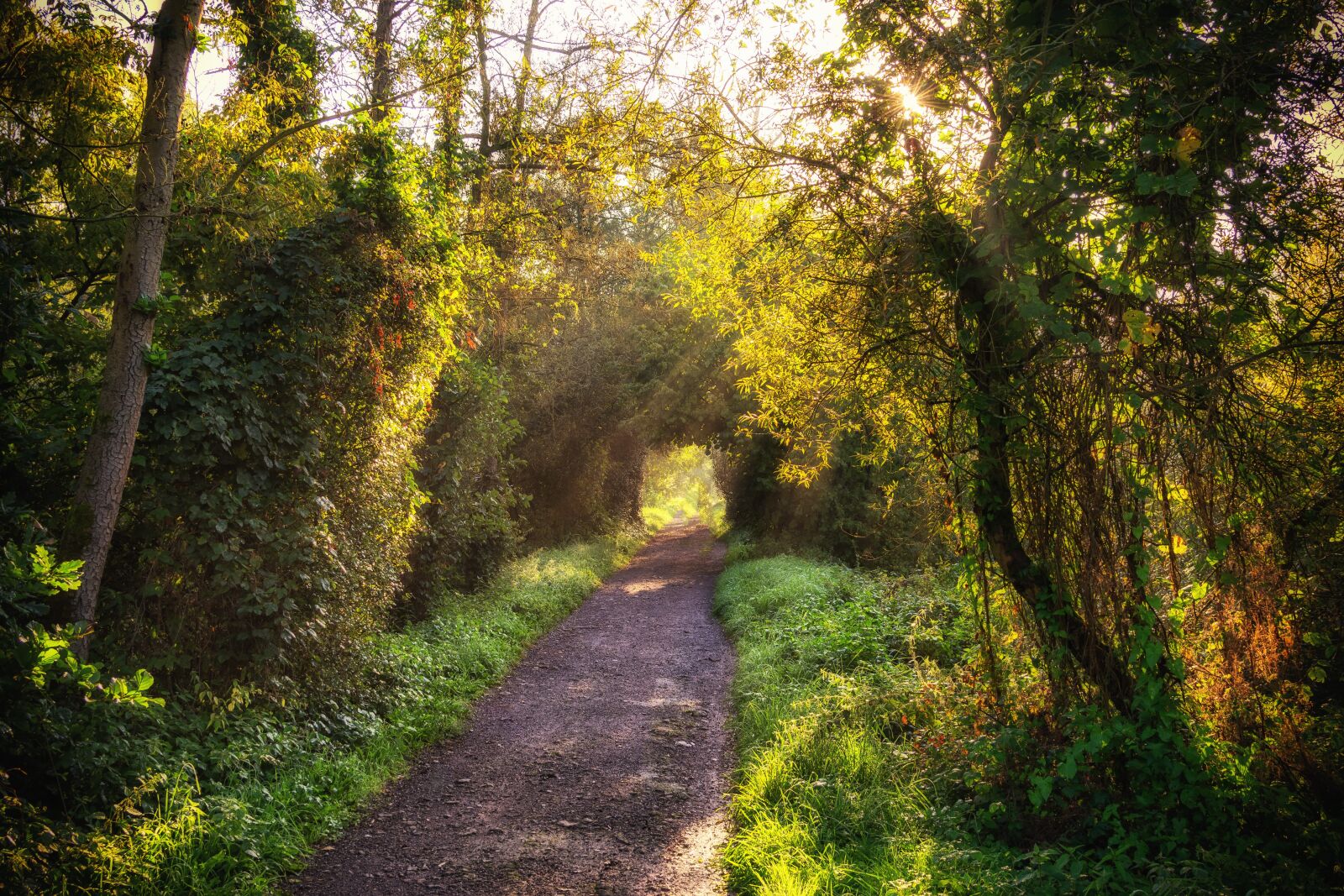 Nikon D3300 sample photo. Sunrise, morning, sun photography