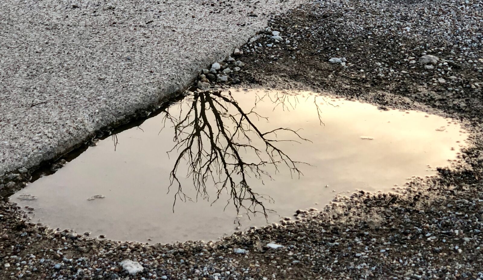 iPhone X back dual camera 6mm f/2.4 sample photo. Puddle, reflection, rain photography
