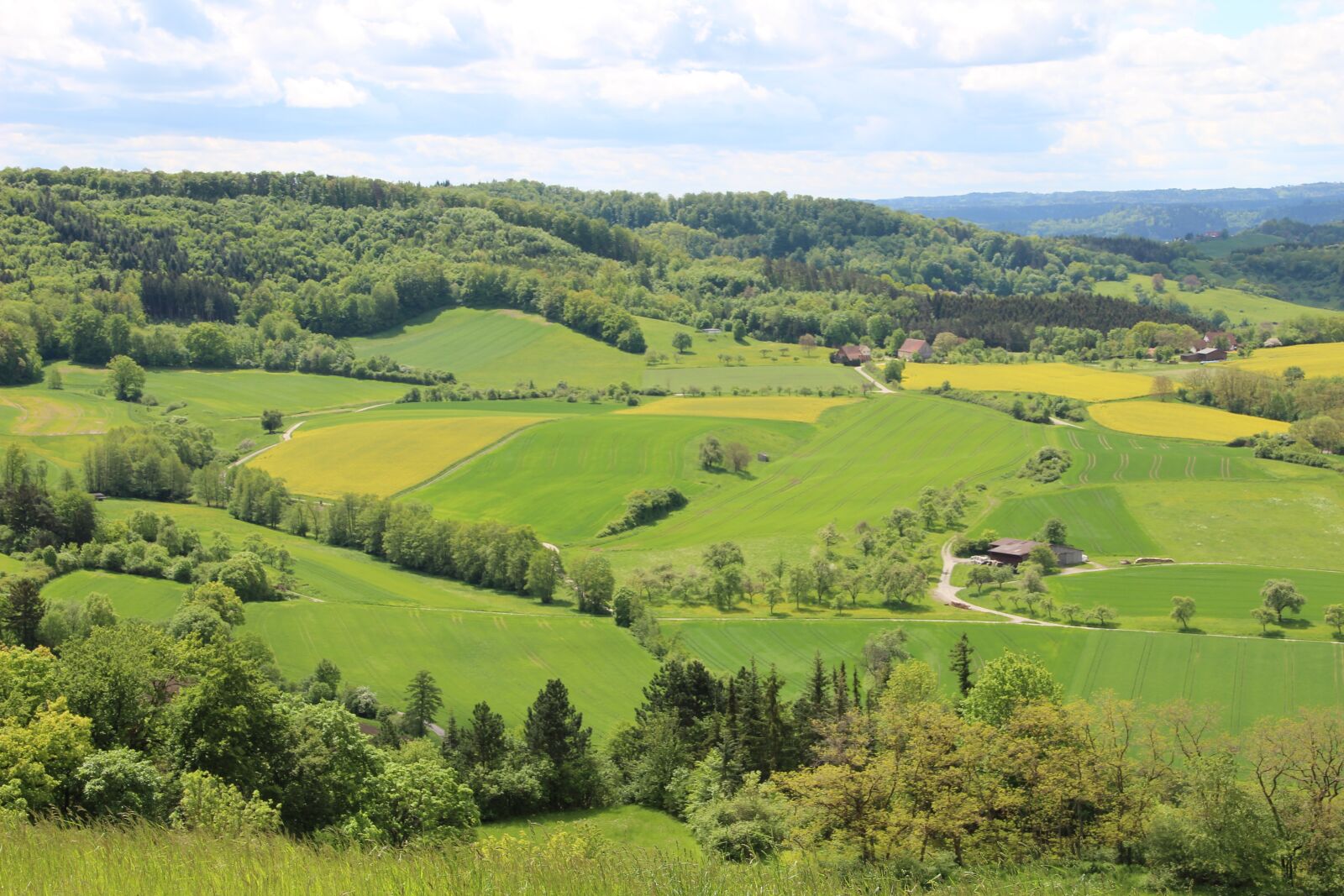 Canon EOS 600D (Rebel EOS T3i / EOS Kiss X5) sample photo. Einkorn, landscape, green photography