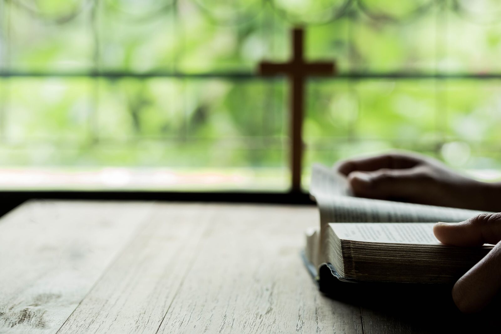 Canon EF 100mm F2.8L Macro IS USM sample photo. Devotional, become better readers photography