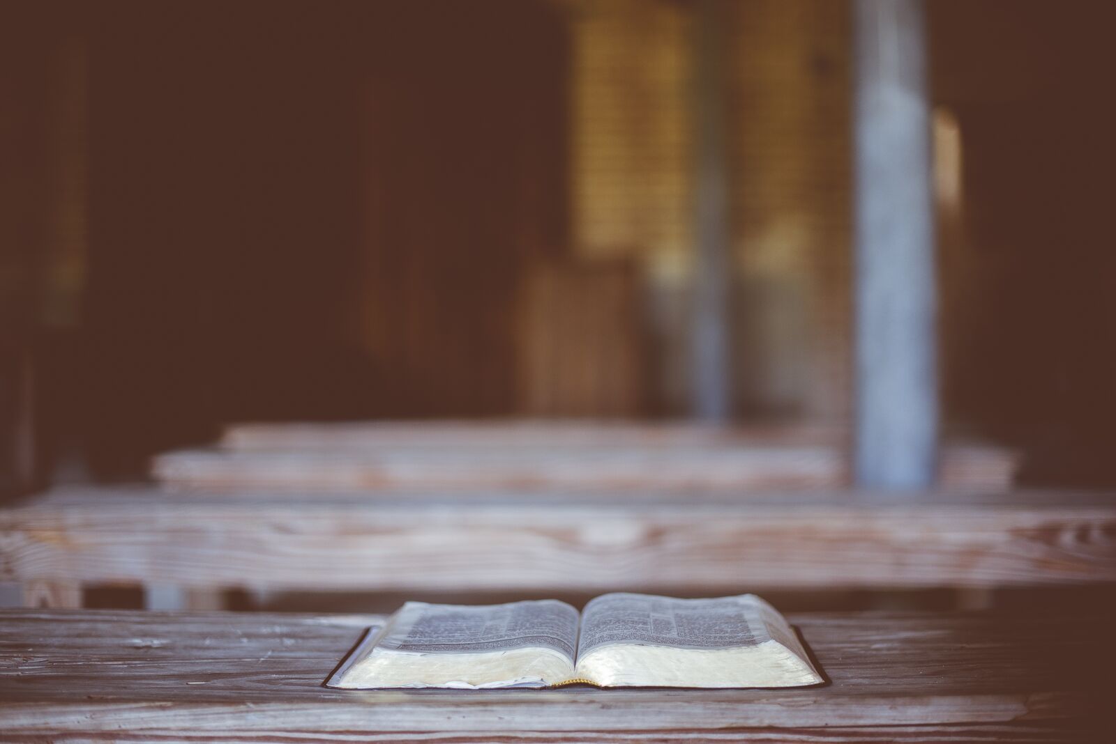 Nikon D750 sample photo. Antique, book, read photography