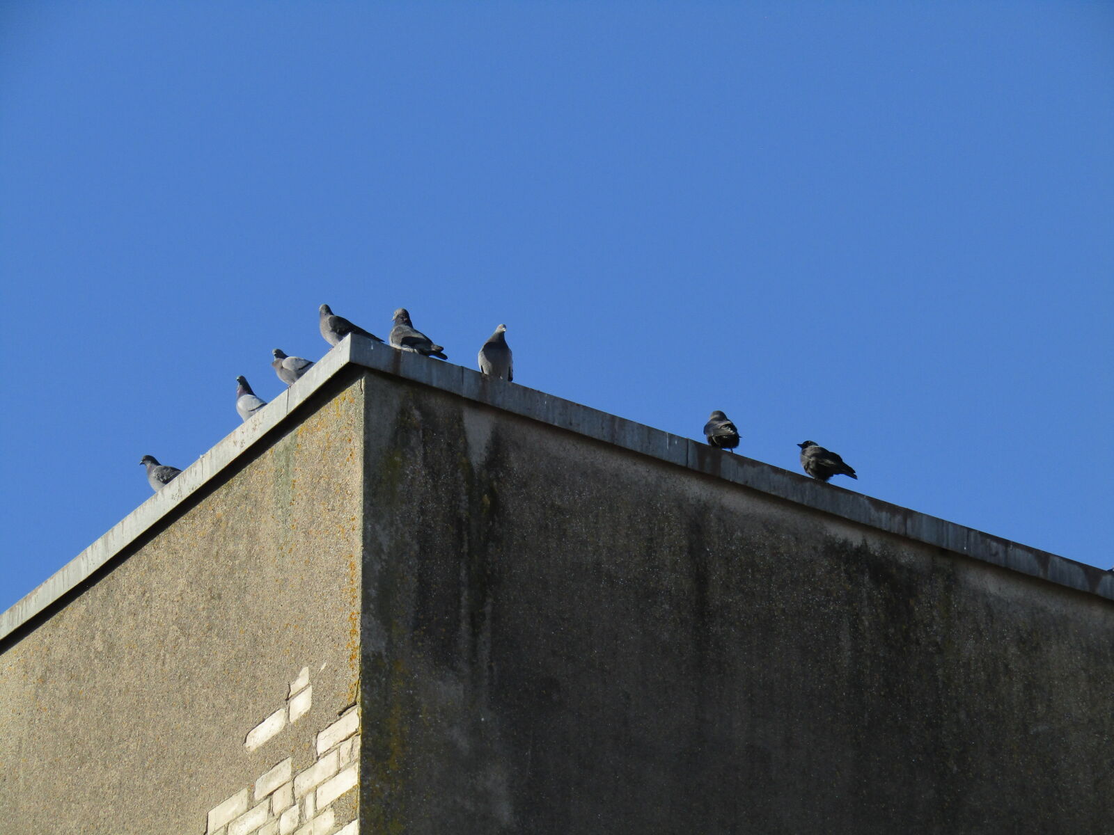 Canon PowerShot SX420 IS sample photo