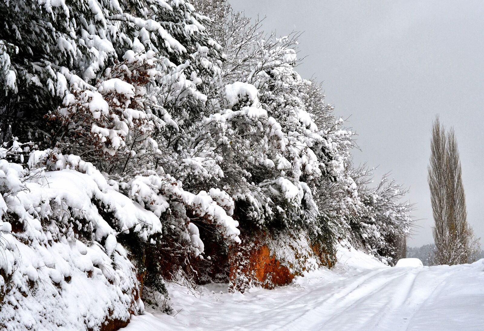 Nikon D5100 sample photo. Snow, winter, frost photography